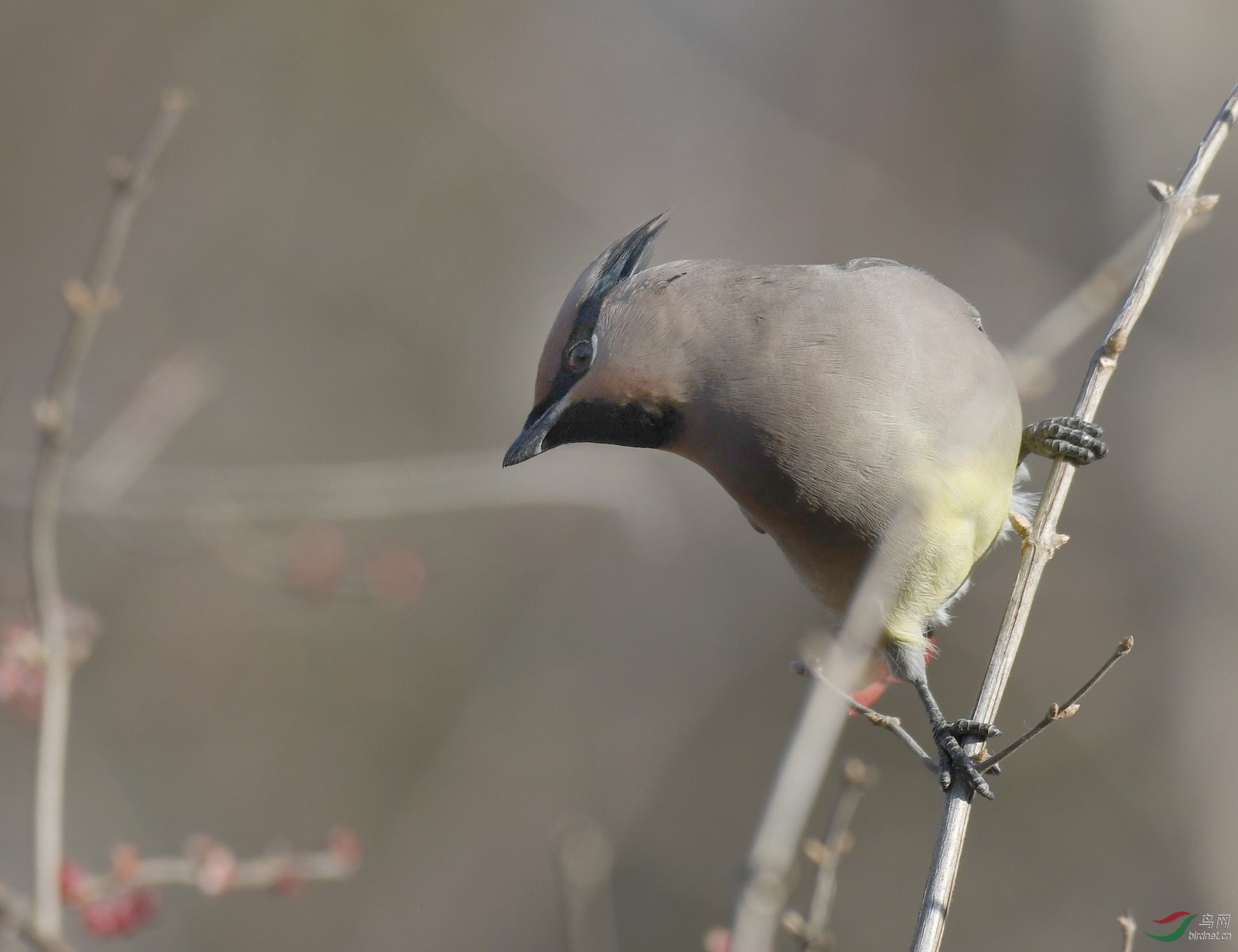 ������Ӱ 1643����.jpg