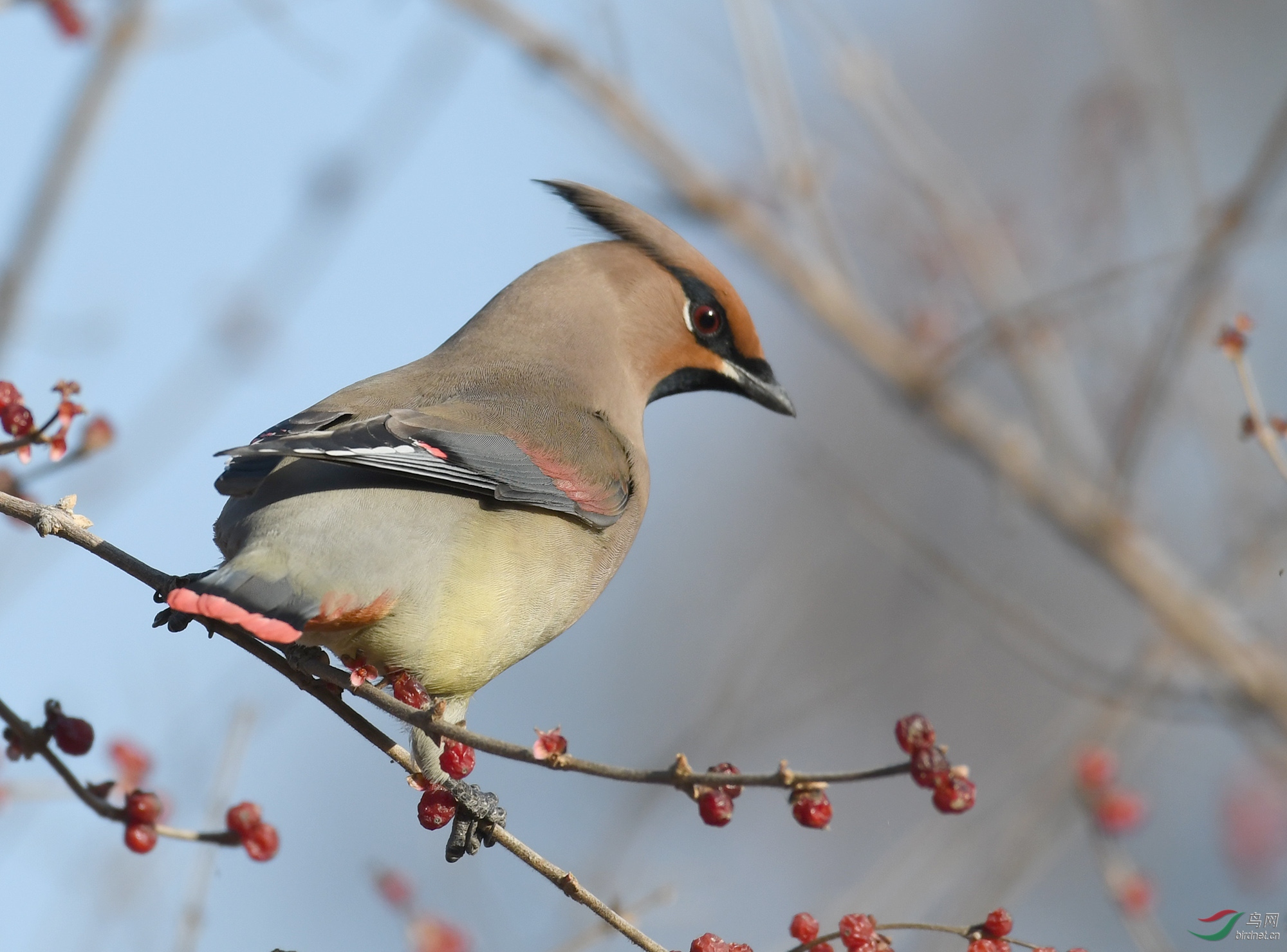 ������Ӱ 1796����.jpg