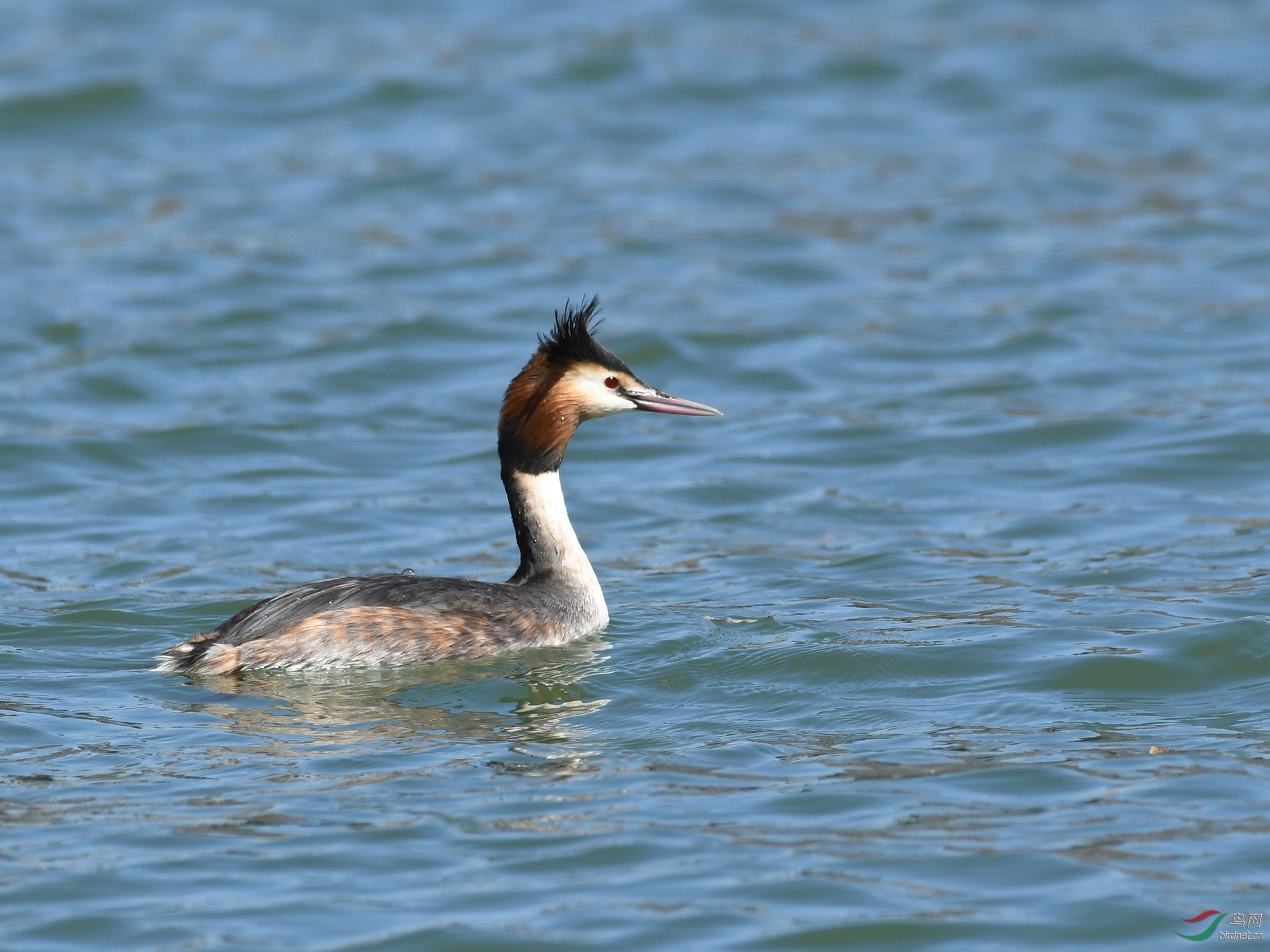 ������Ӱ 070����.jpg