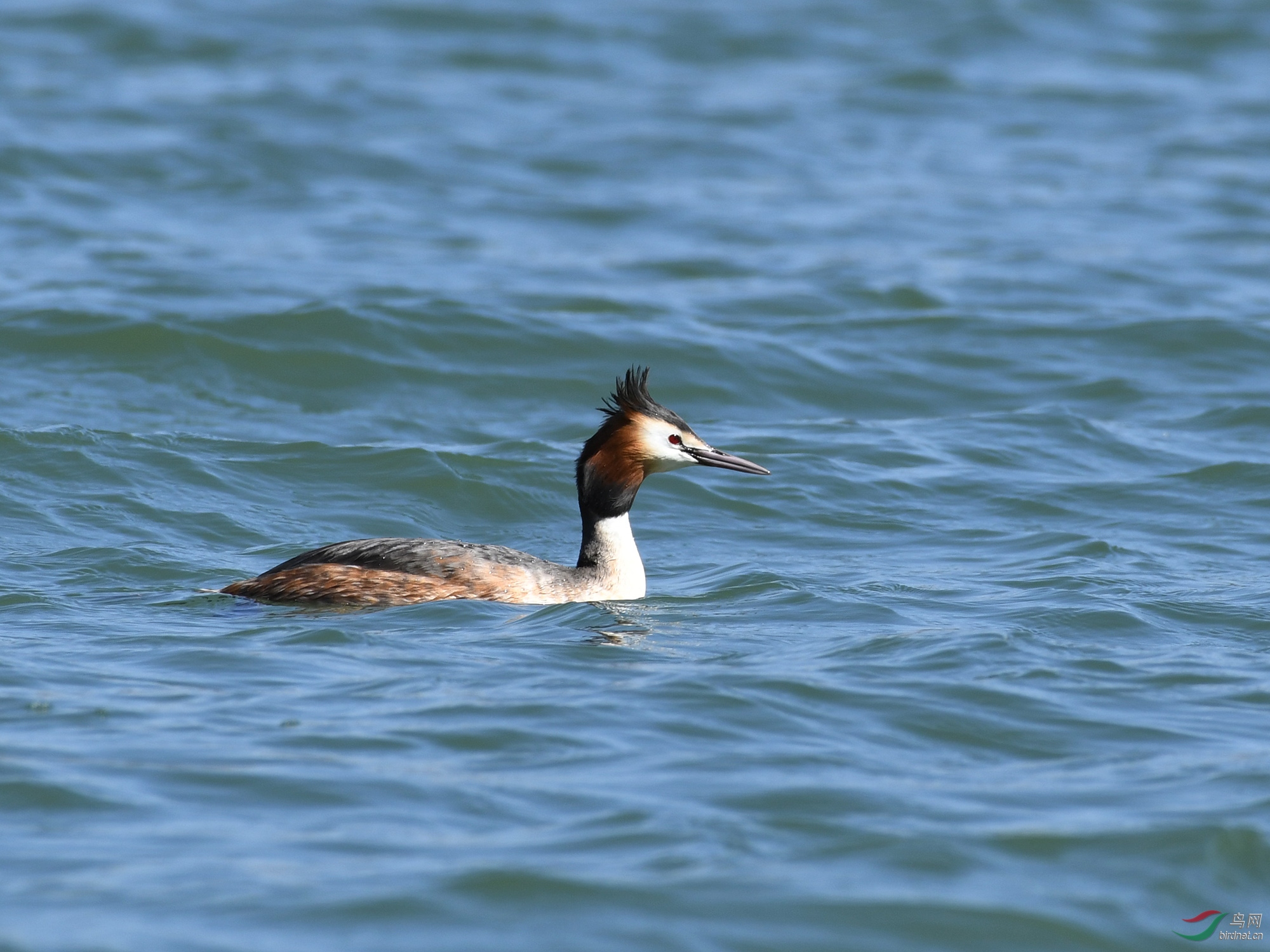 ������Ӱ 157����.jpg