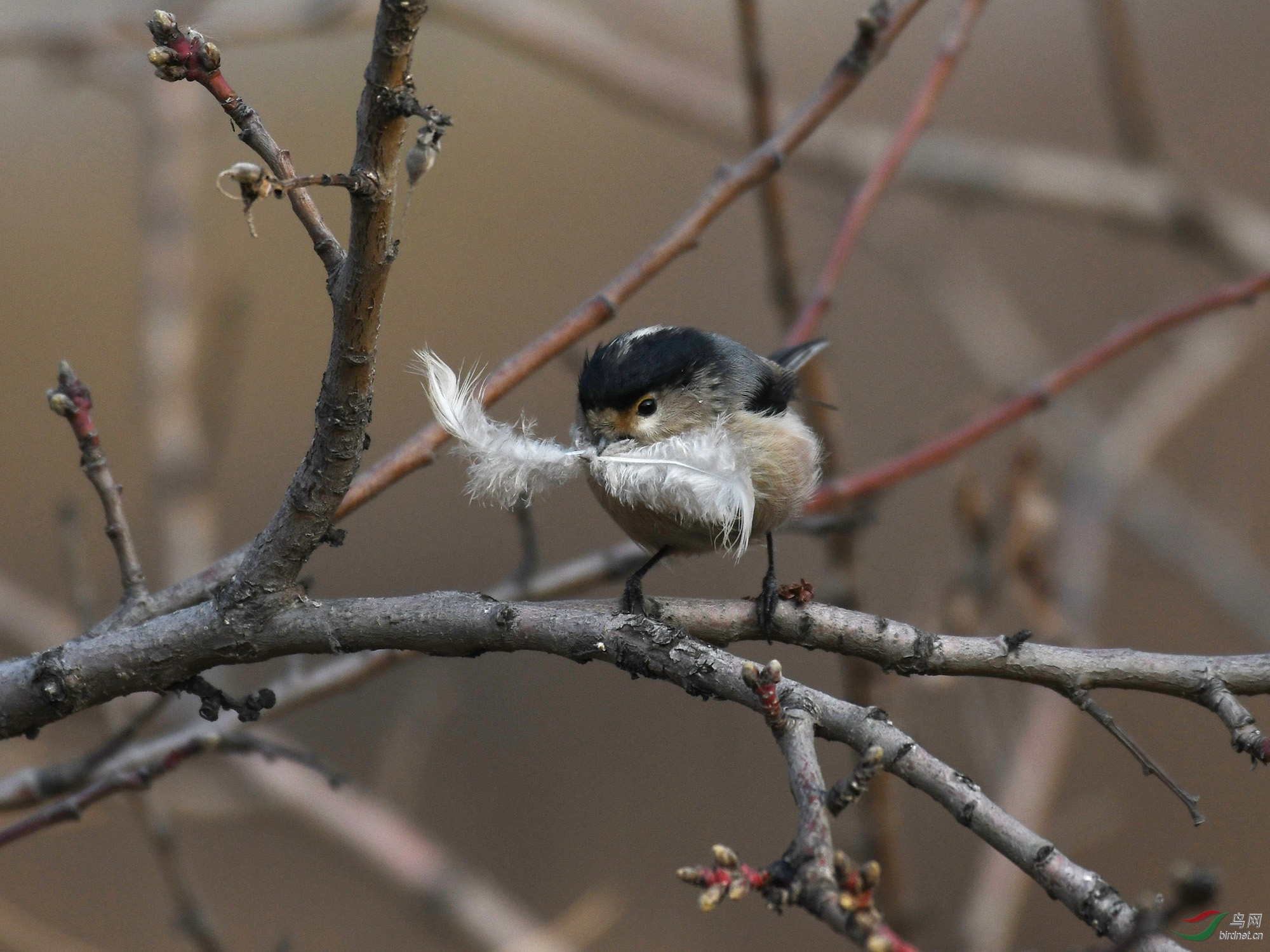 ������Ӱ 1239����.jpg