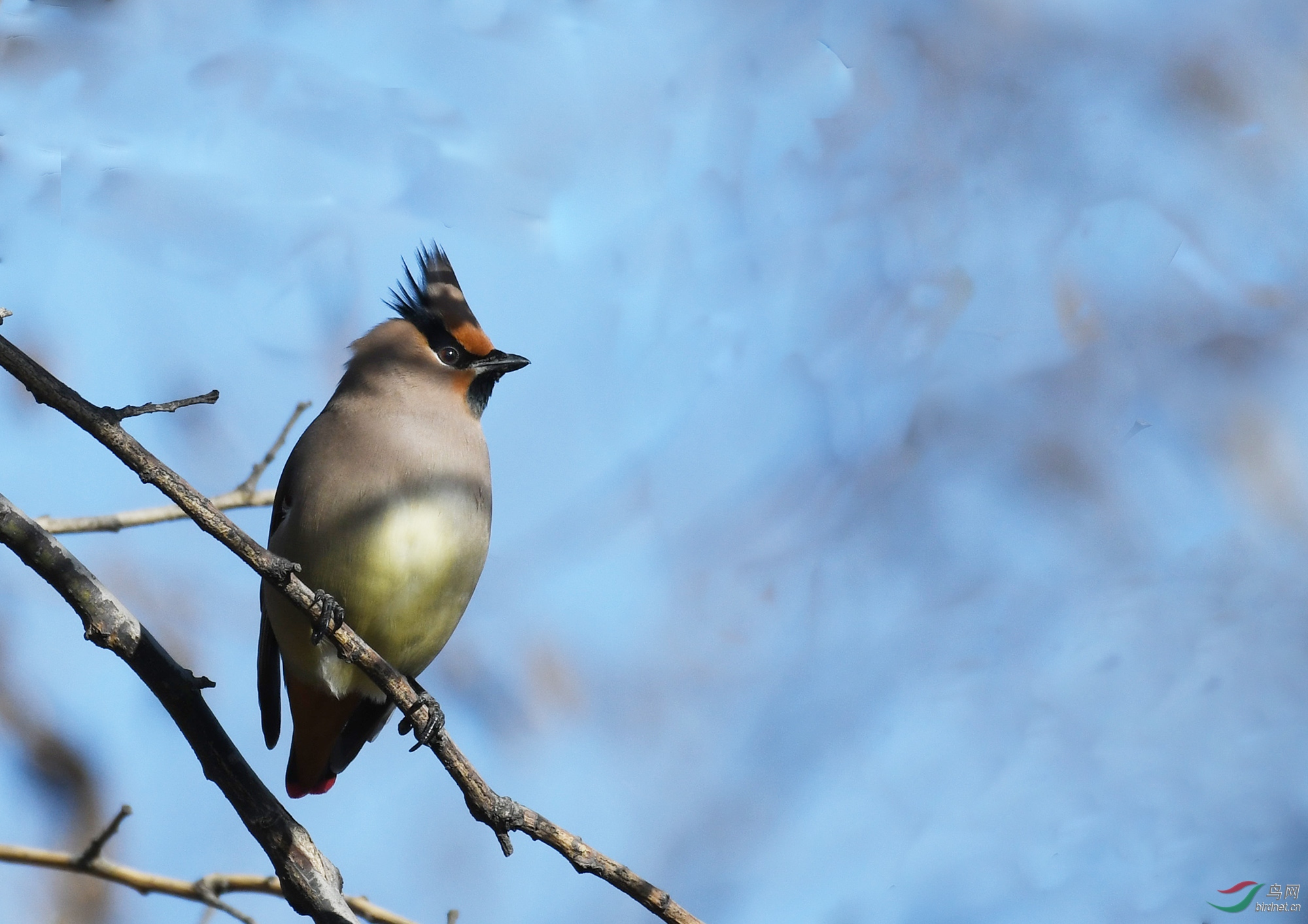 ������Ӱ 205����.jpg