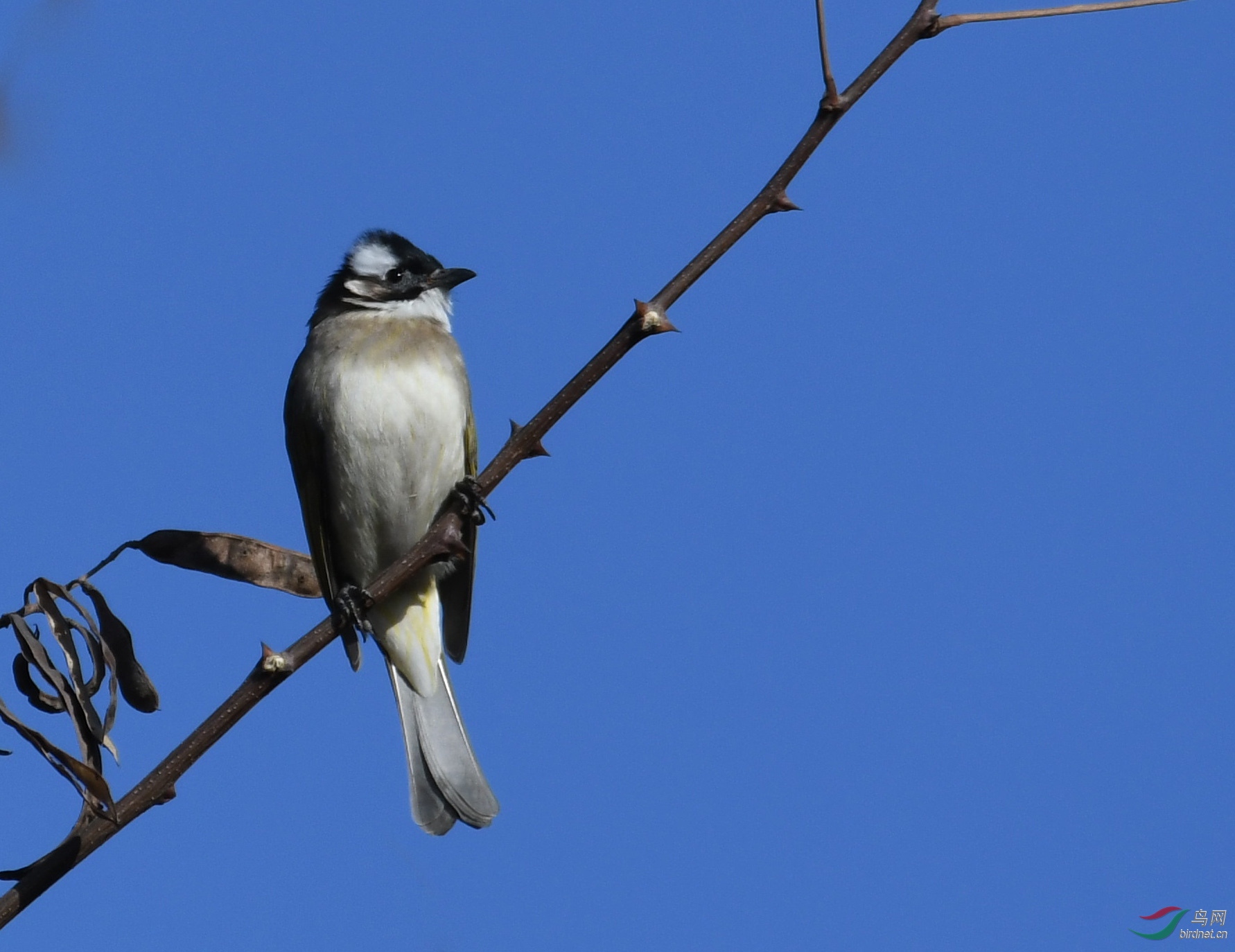 ������Ӱ 218����.jpg