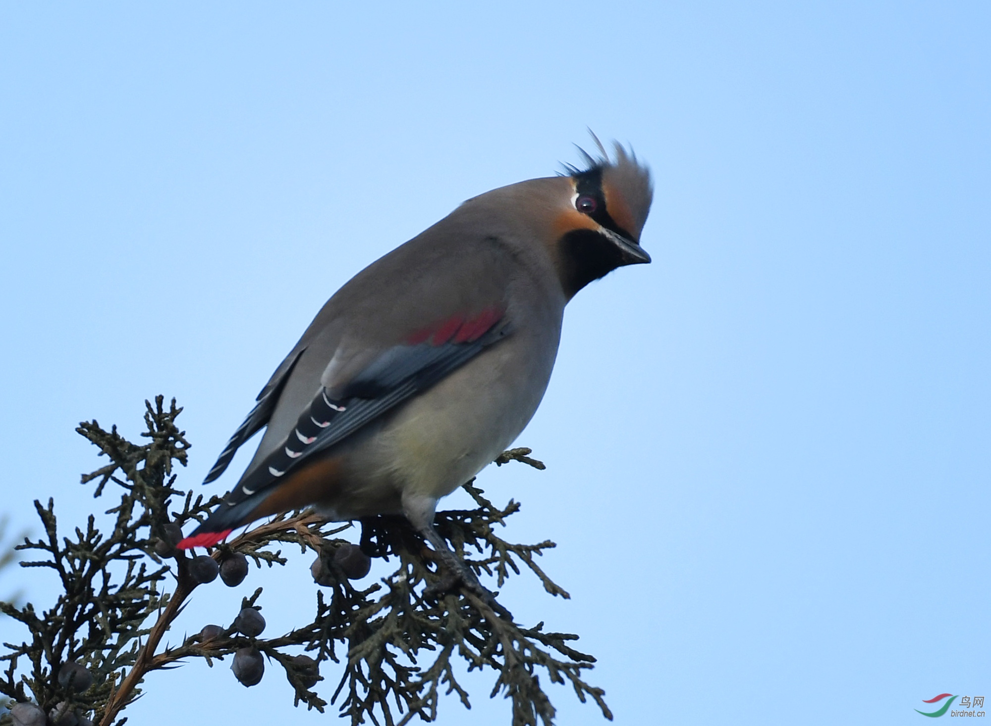 ������Ӱ 929����.jpg