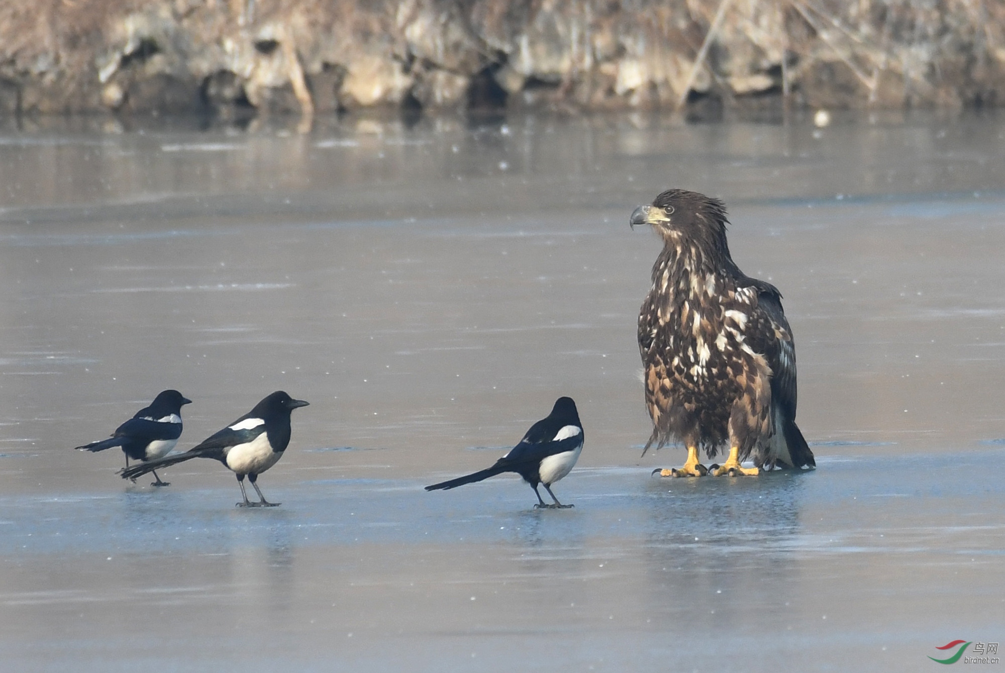 ������Ӱ 056����.jpg