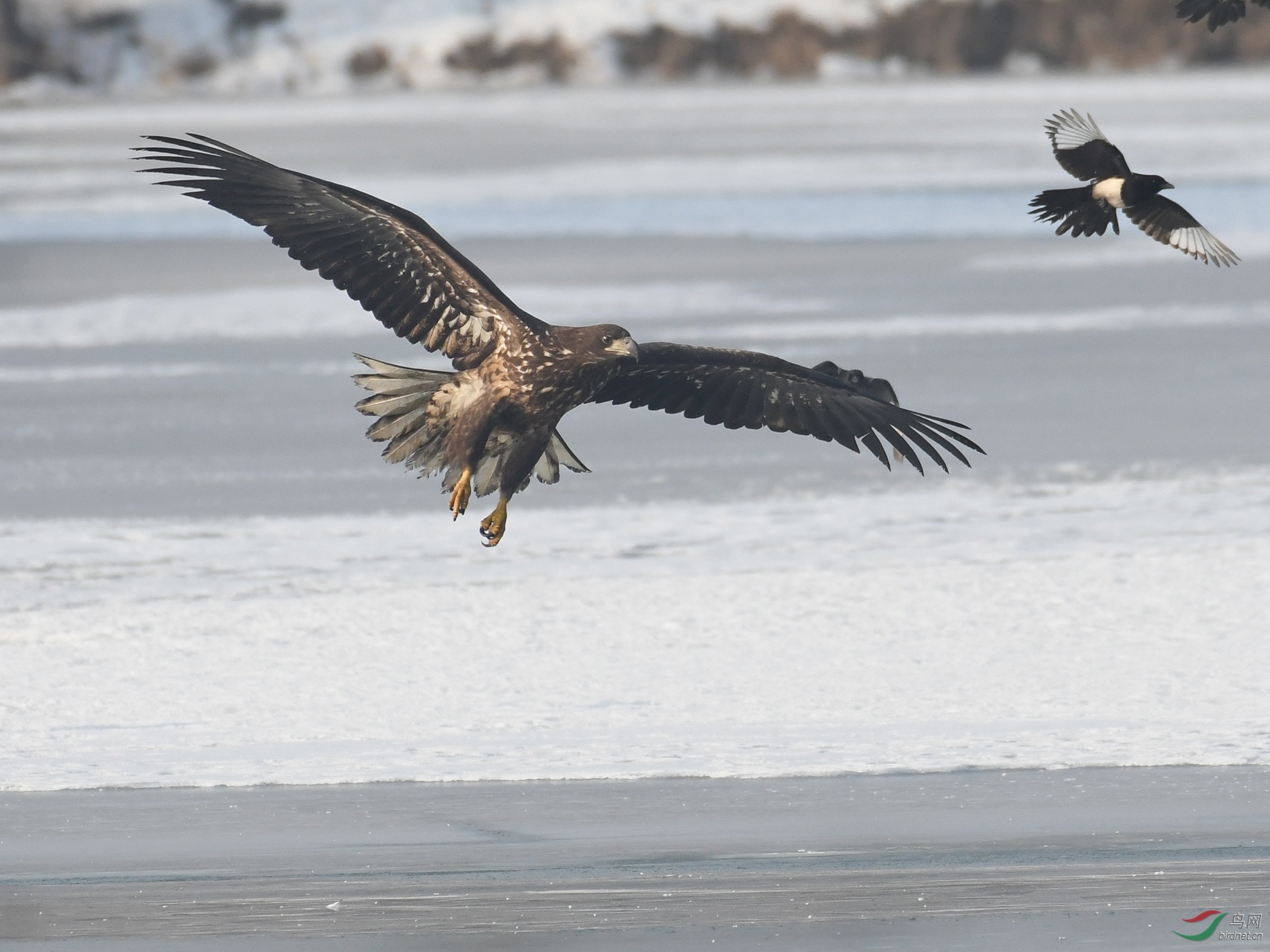 ������Ӱ 216����.jpg