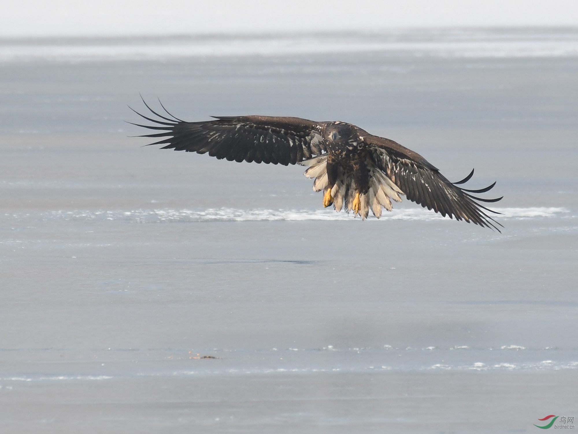 ������Ӱ 348����.jpg