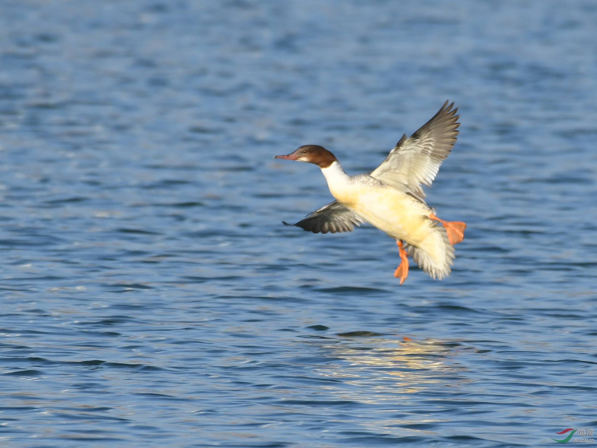 ������Ӱ 633����.jpg