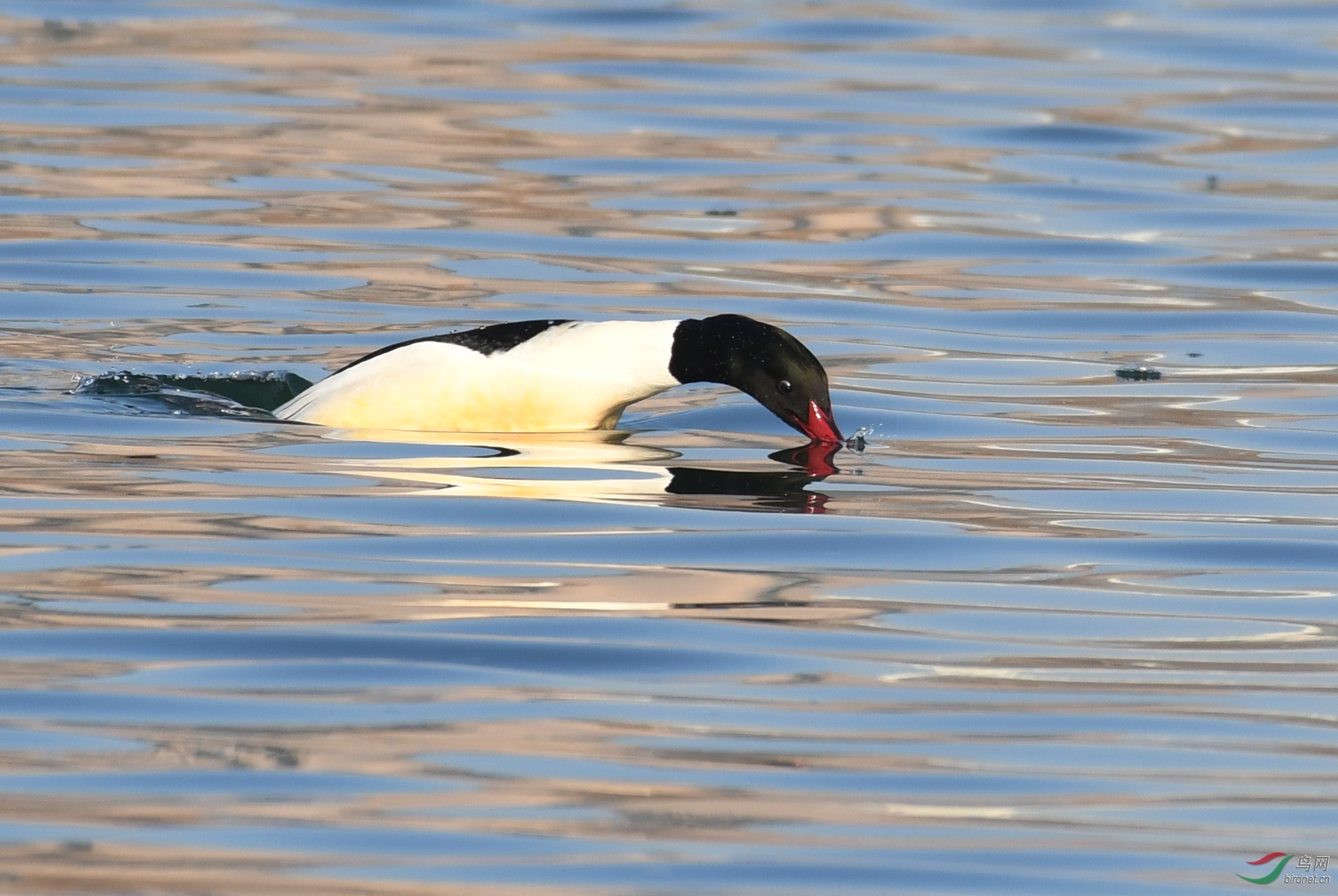 ������Ӱ 654����.jpg