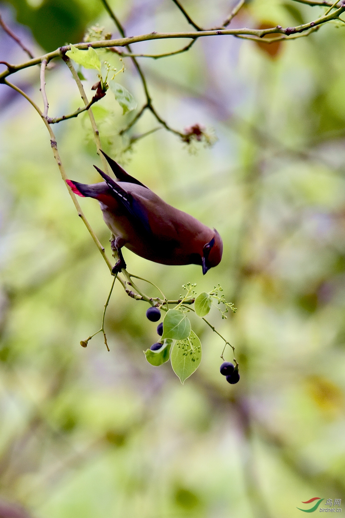 DSC_1141.JPG