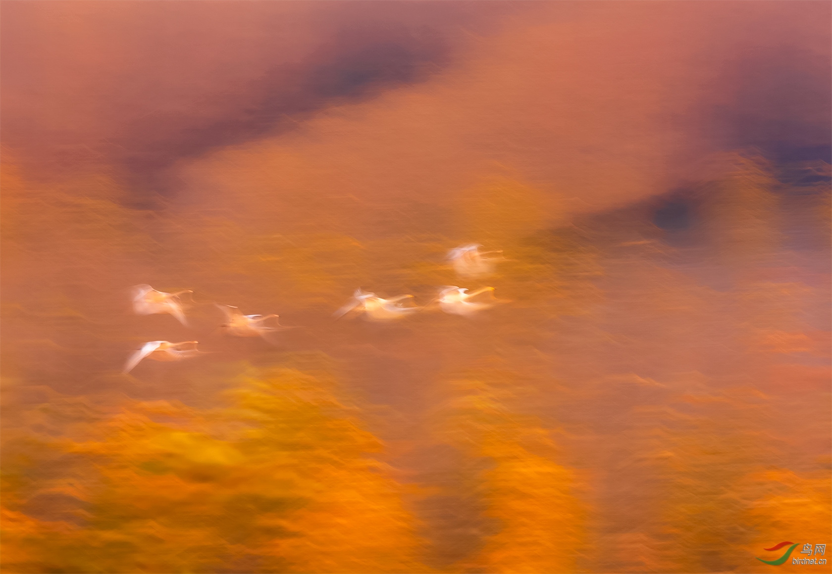 Ʈ��Ʈ��Ʈ��