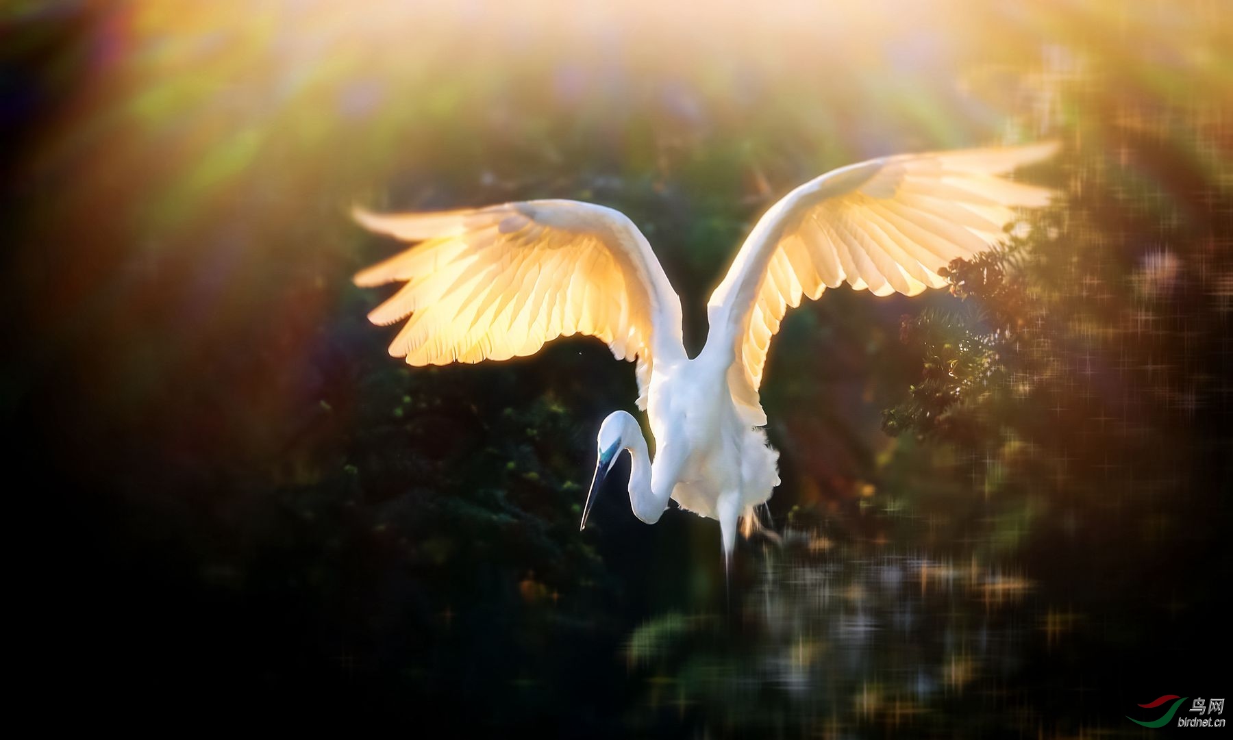 AW1J1802zz ����a_����.jpg