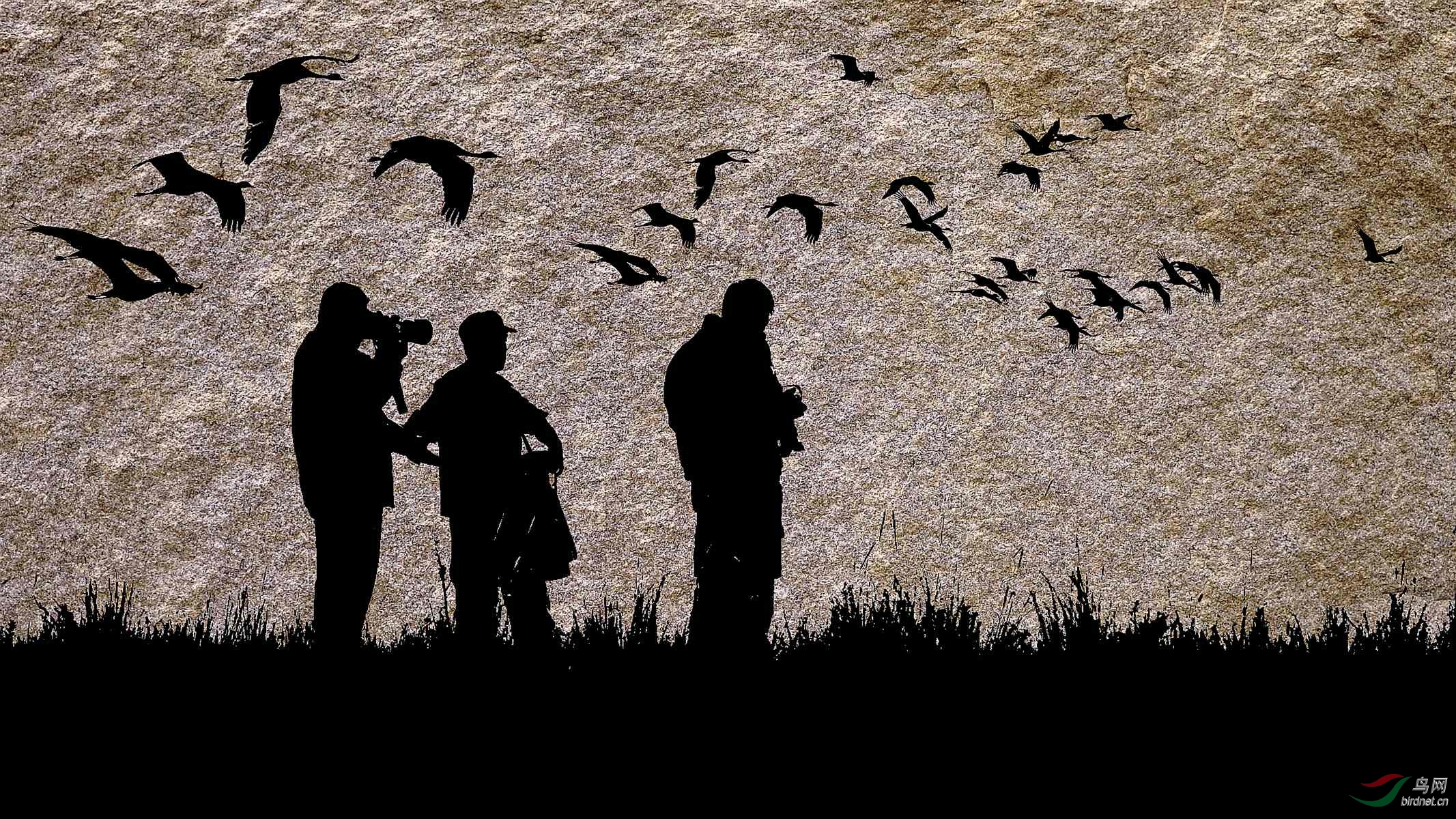 DSC_9227 ���� 3_����.jpg