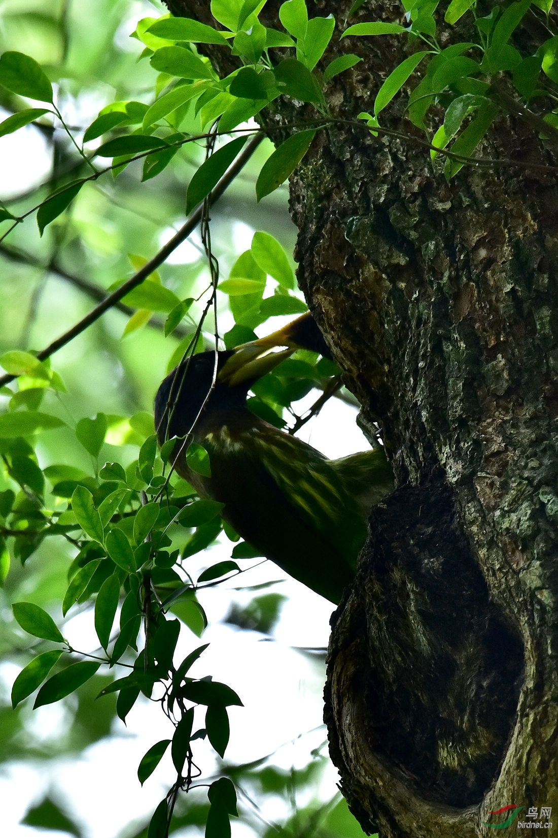 DSC_0126.JPG