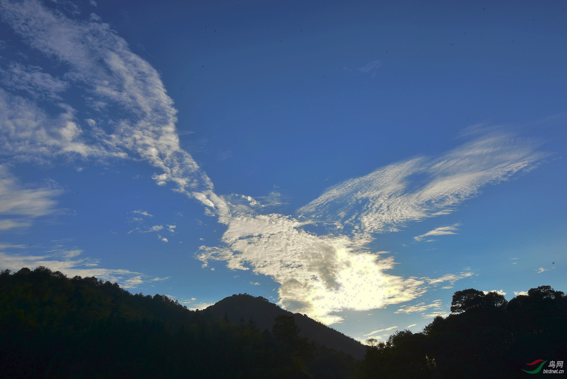 D8I_0528.jpg