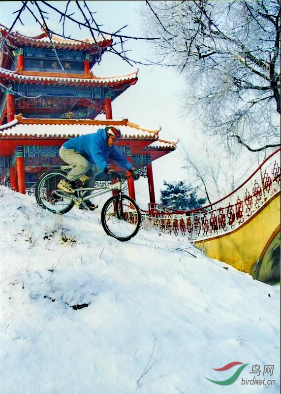 default (2)-01-p-1.jpg