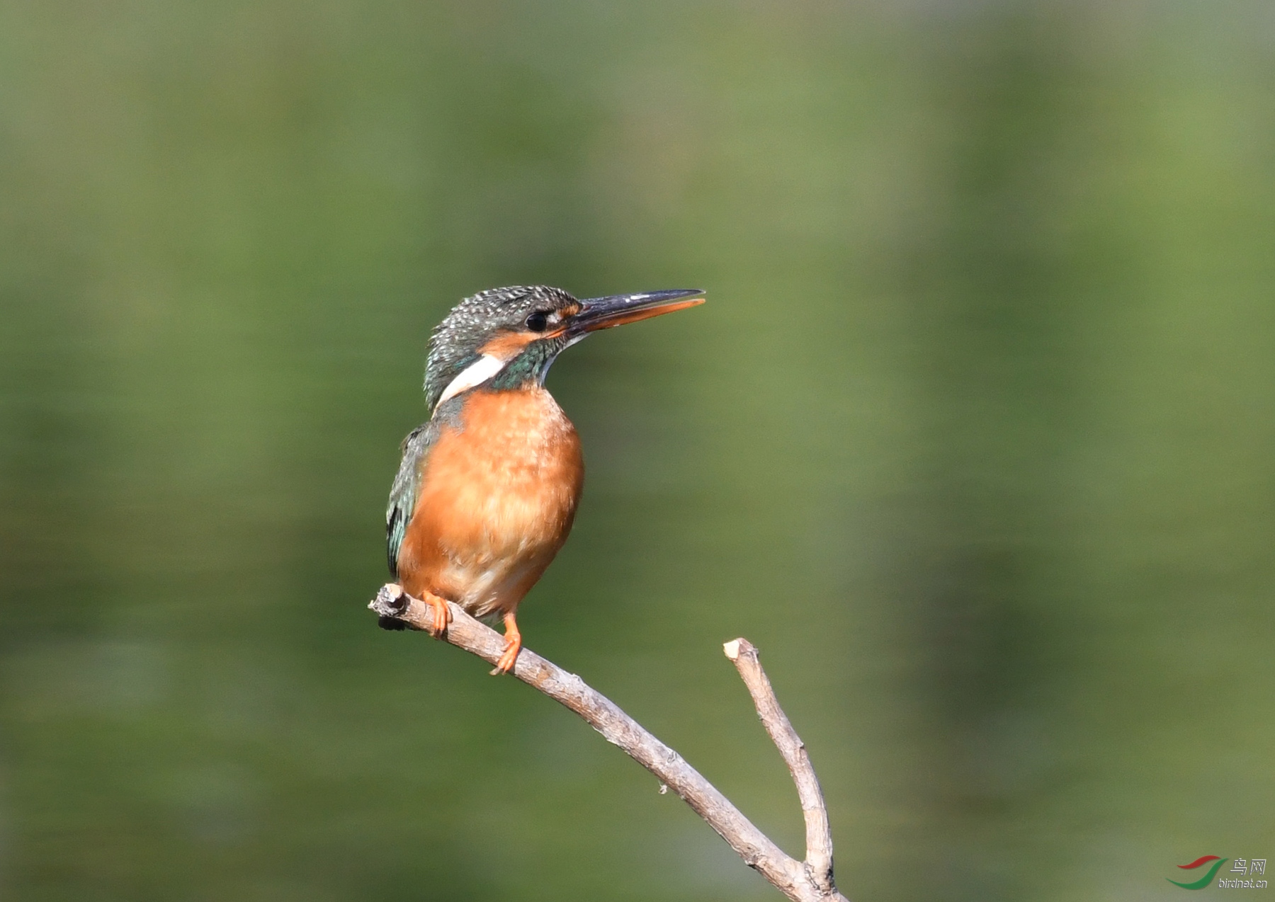 ������Ӱ 6166����.jpg