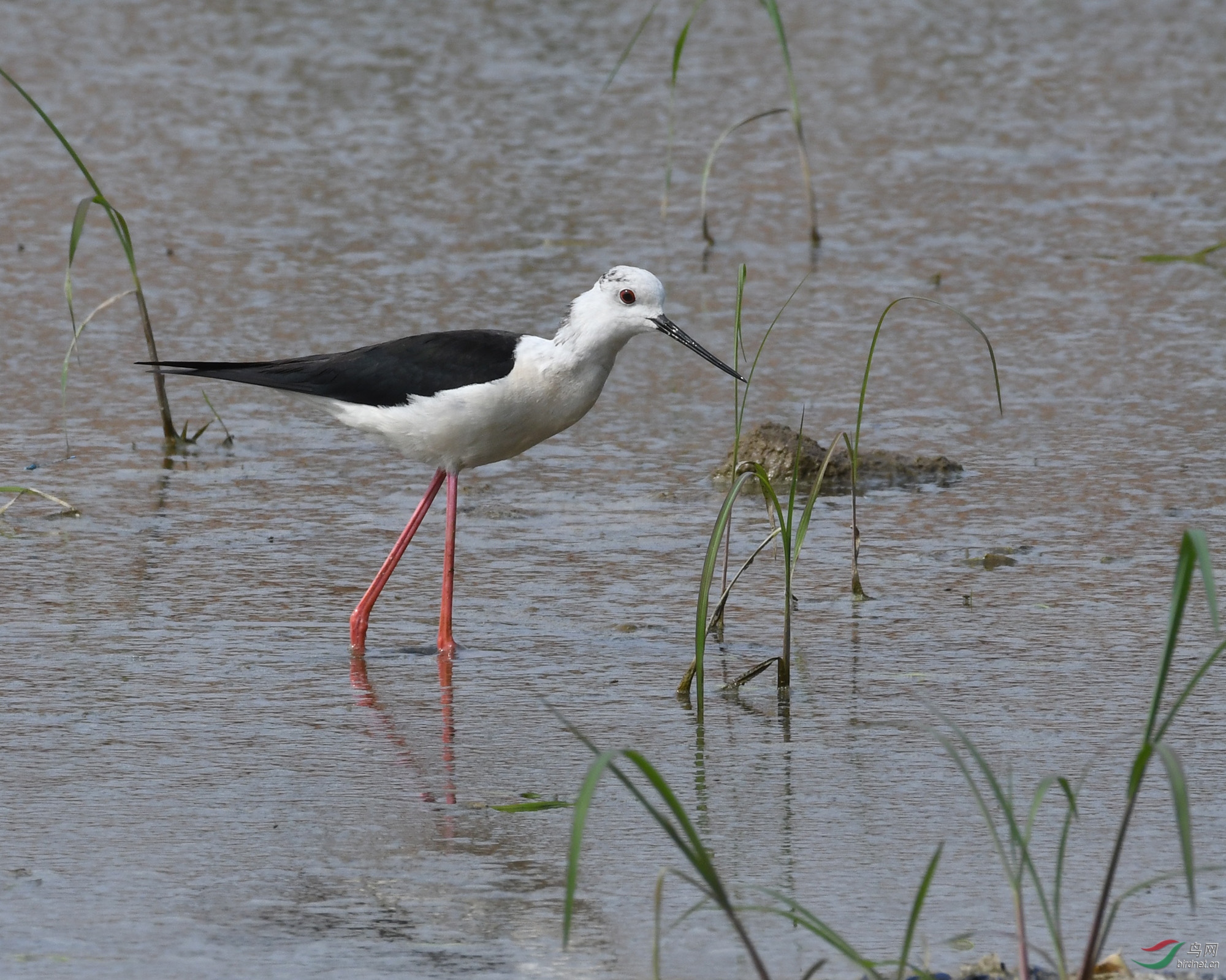 ������Ӱ 158����.jpg