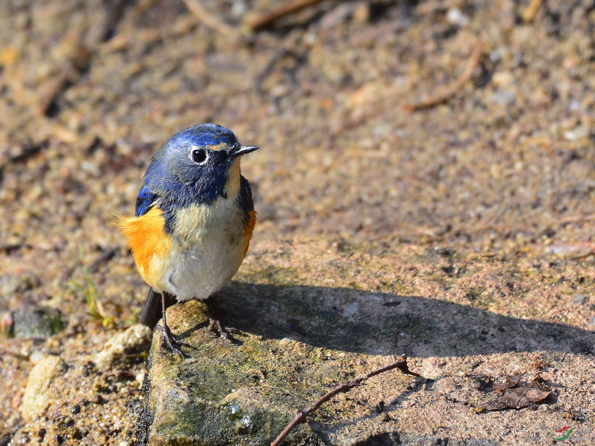 ������Ӱ 752����.jpg