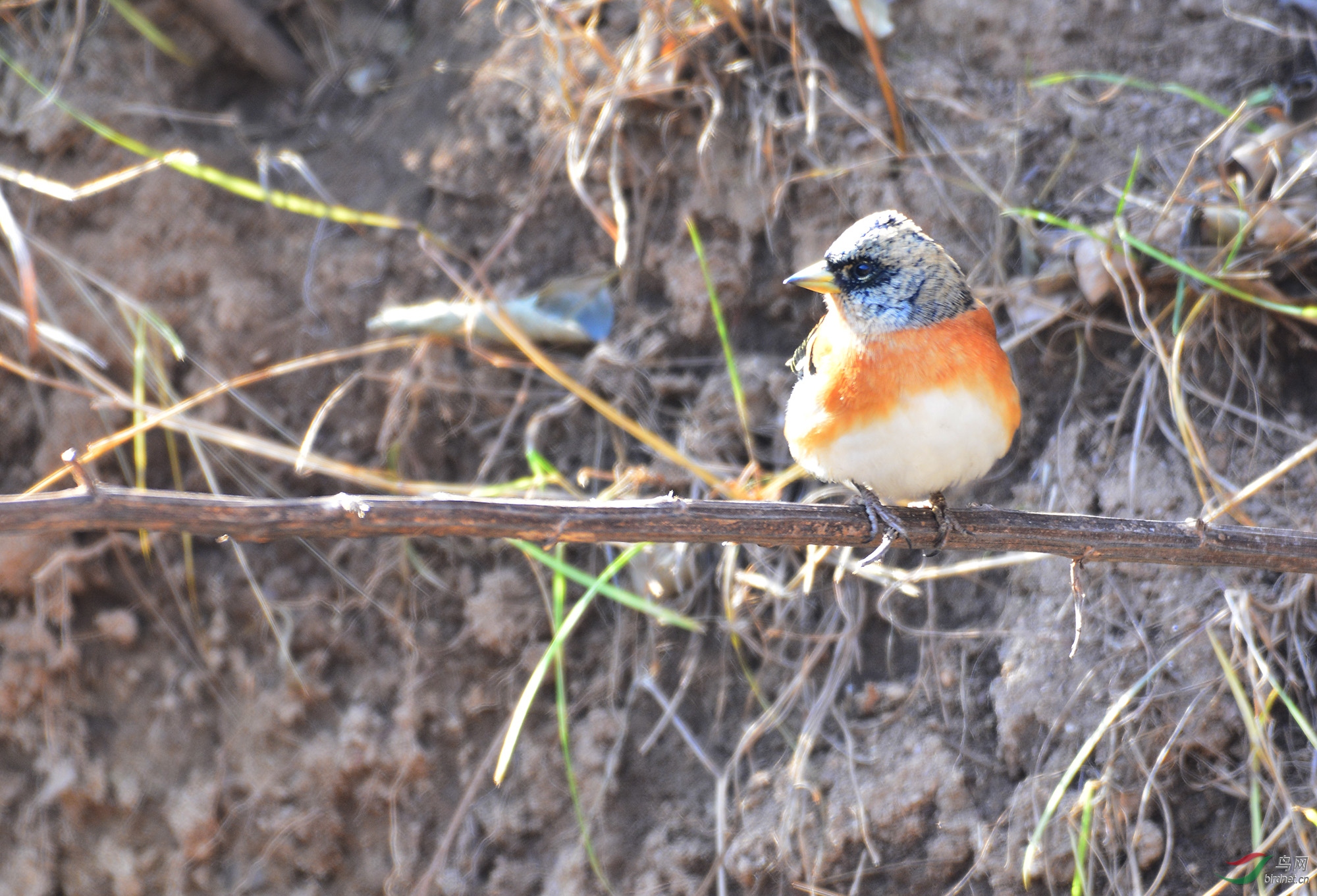 ������Ӱ 1479����.jpg