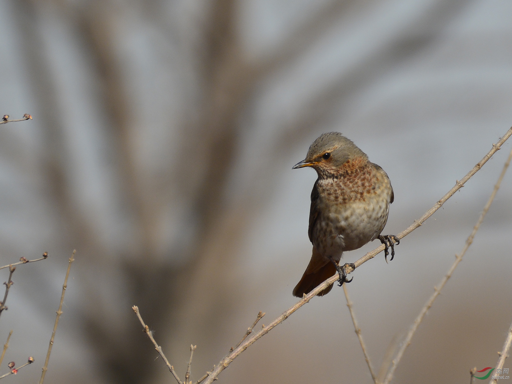 ������Ӱ 810����.jpg