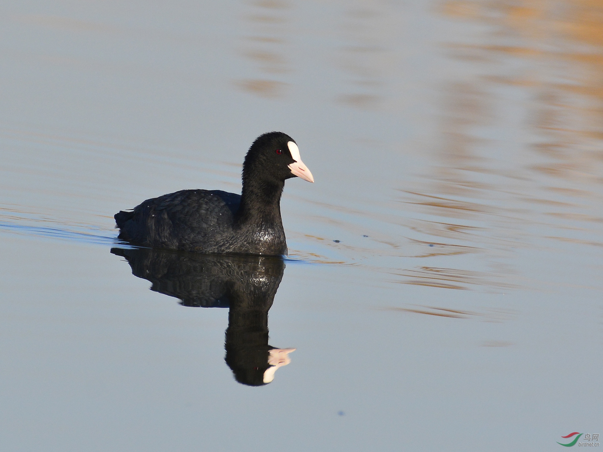 ������Ӱ 119����.jpg