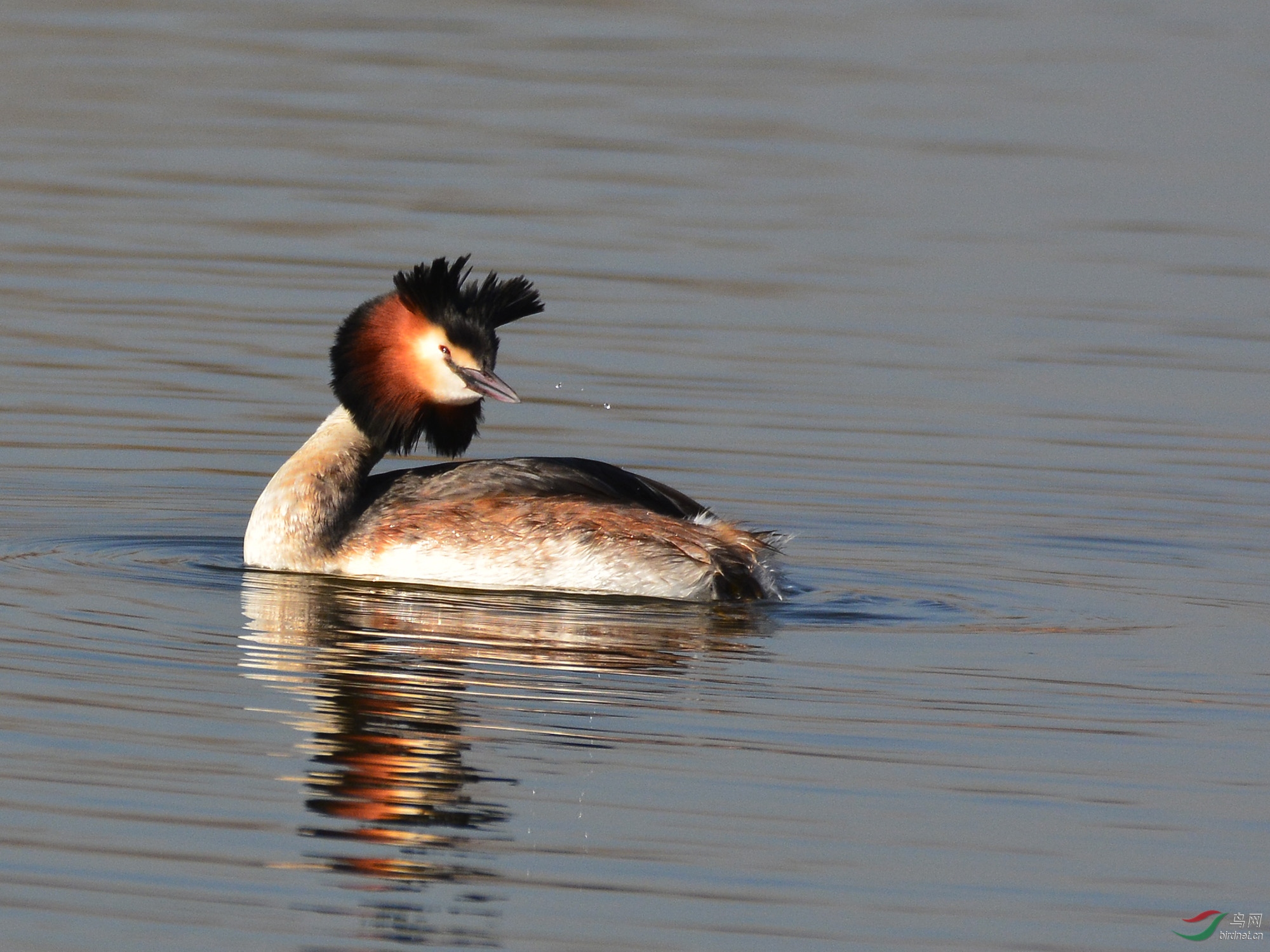 ������Ӱ 583����.jpg