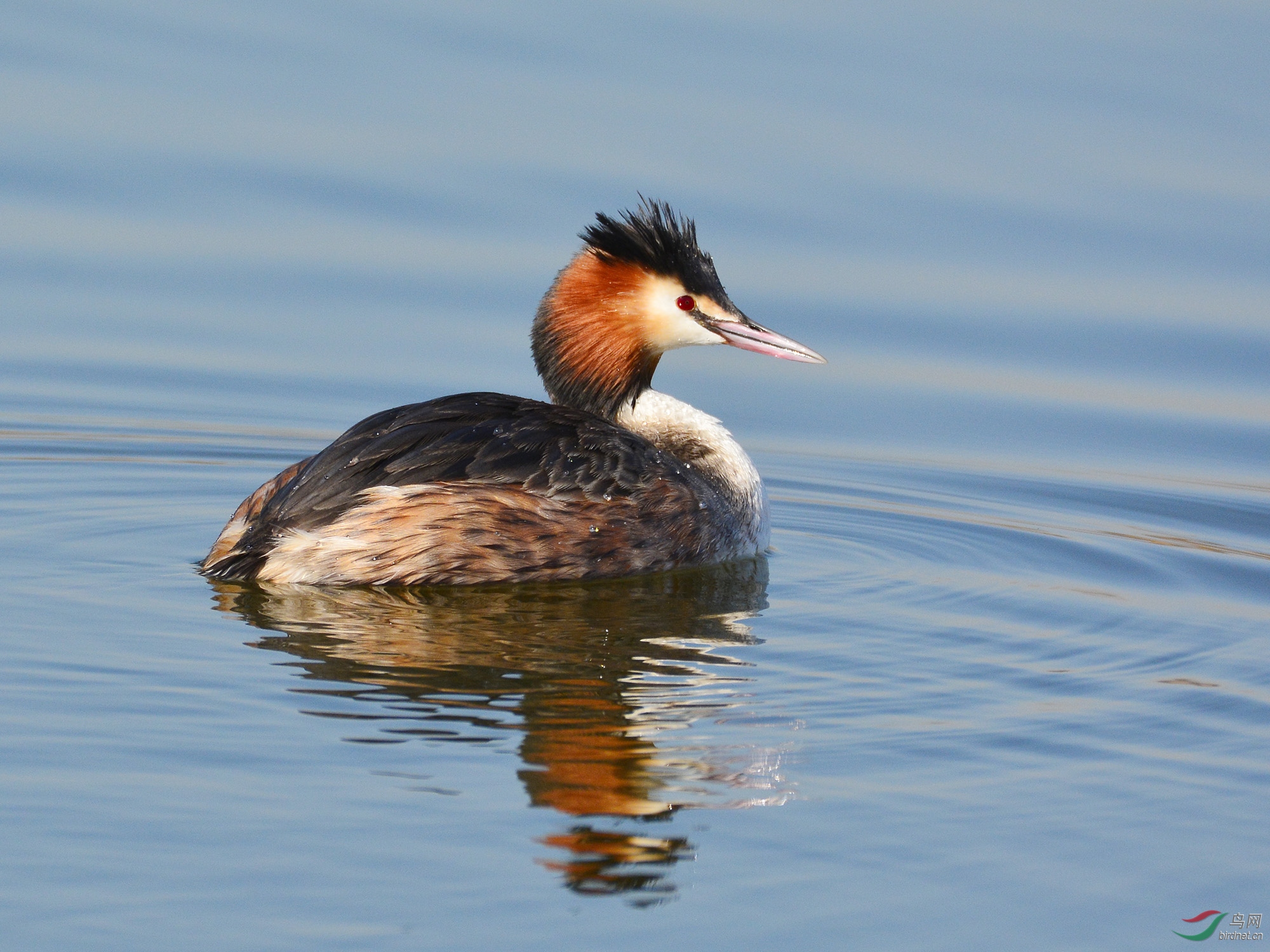 ������Ӱ 800����.jpg