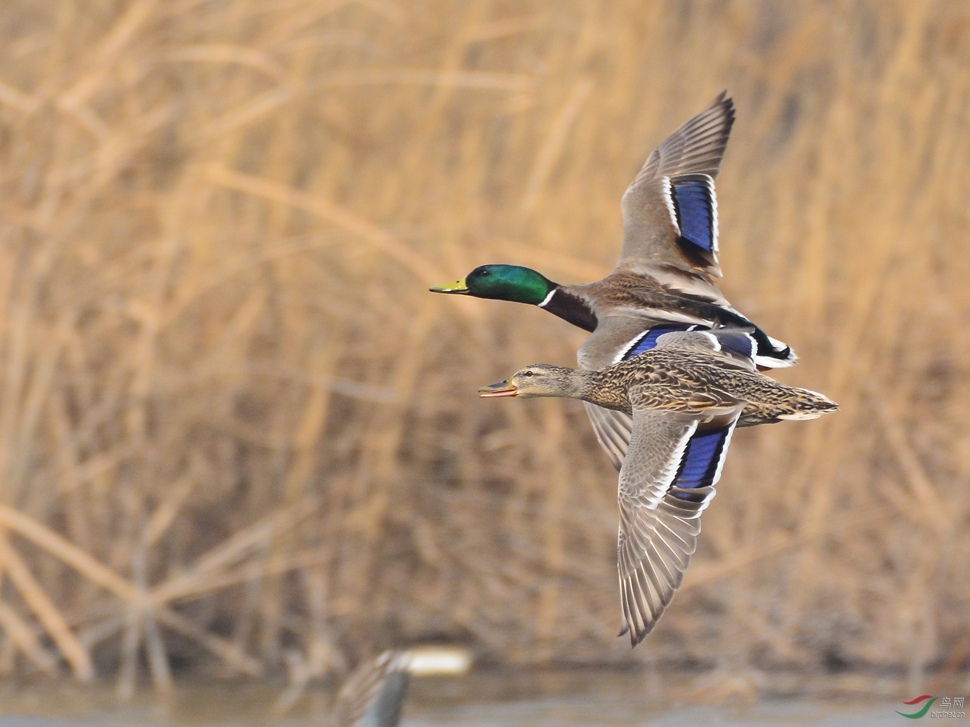 ������Ӱ 2297����.jpg