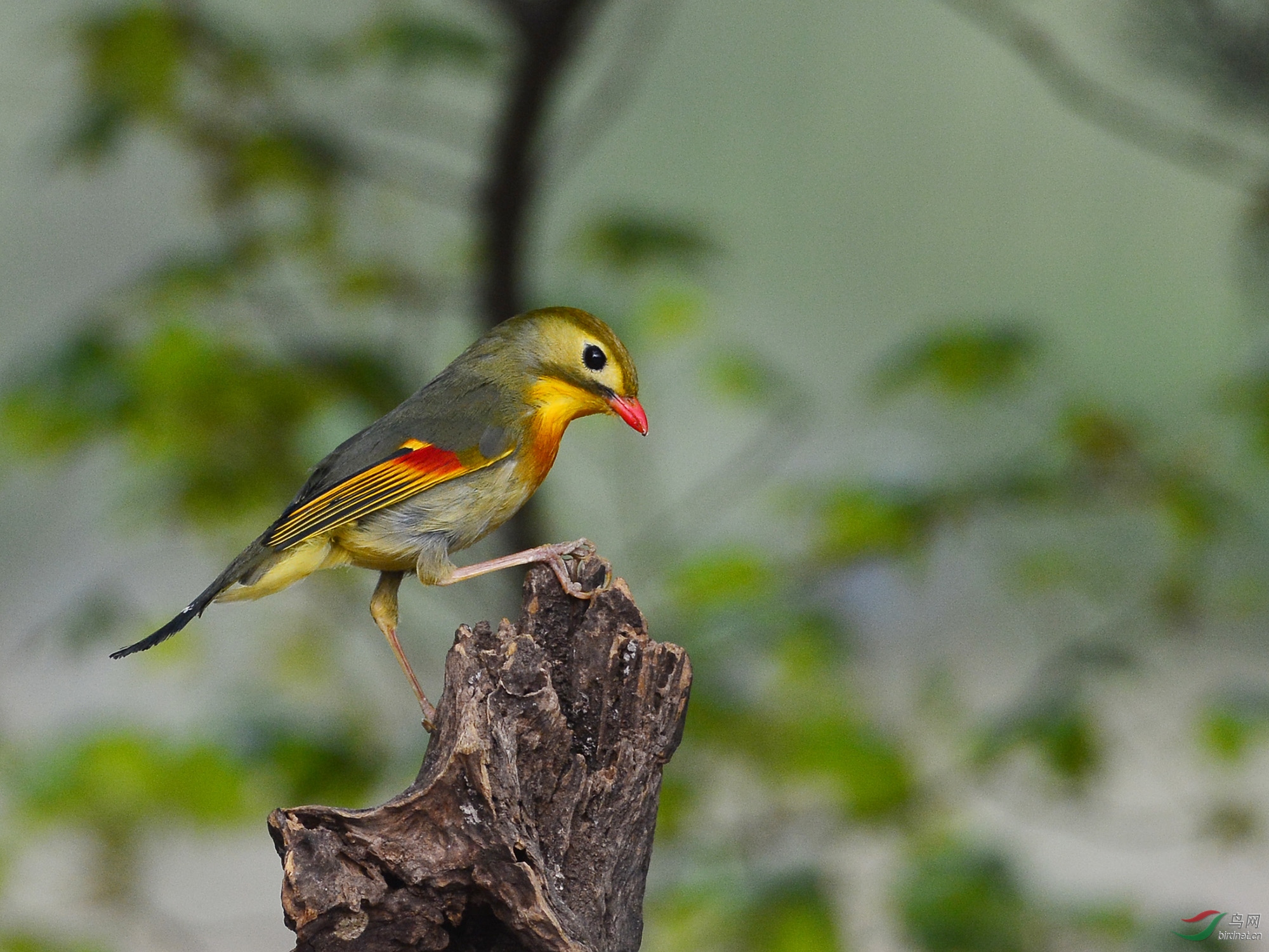 ������Ӱ 879����.jpg