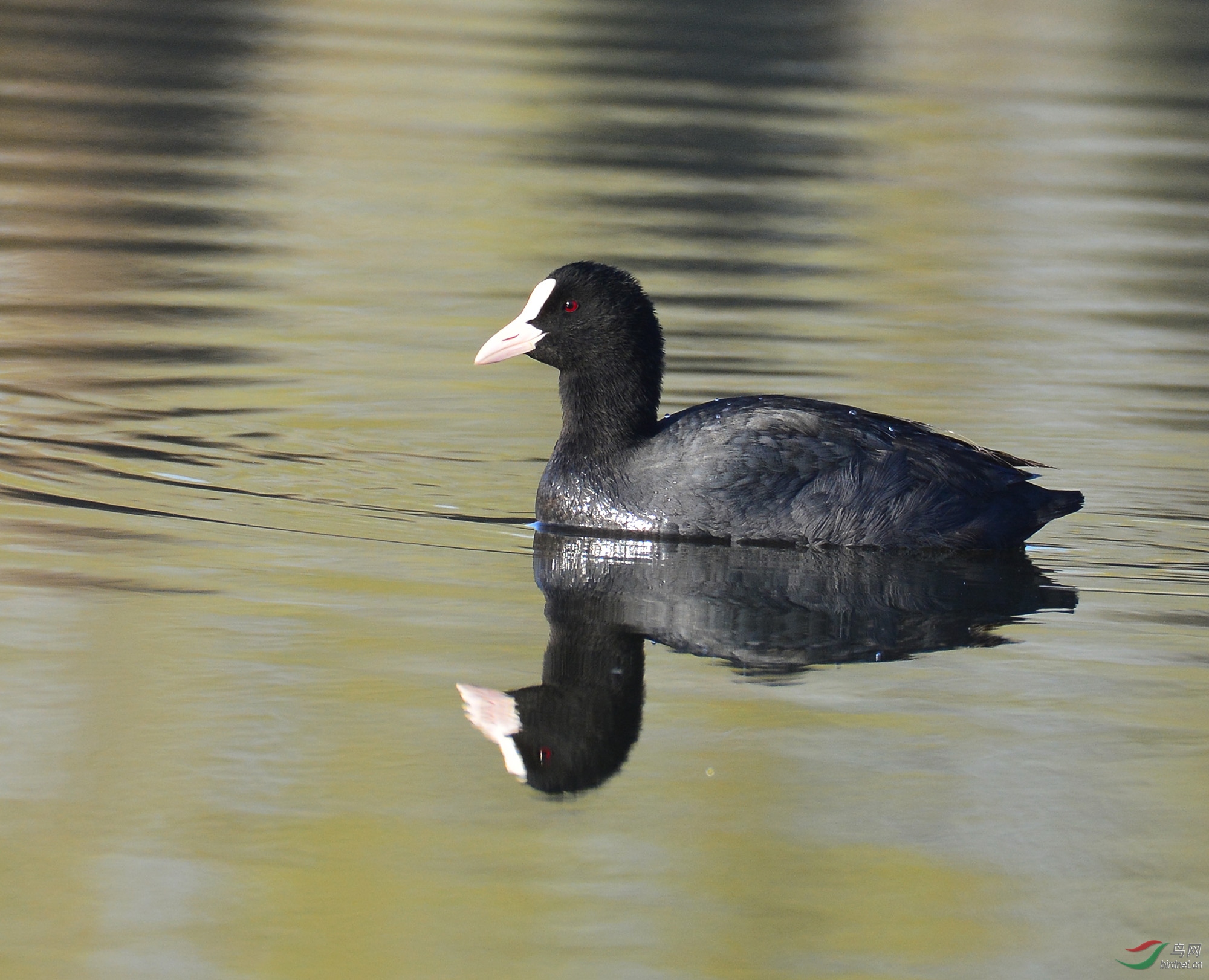 ������Ӱ 053����.jpg