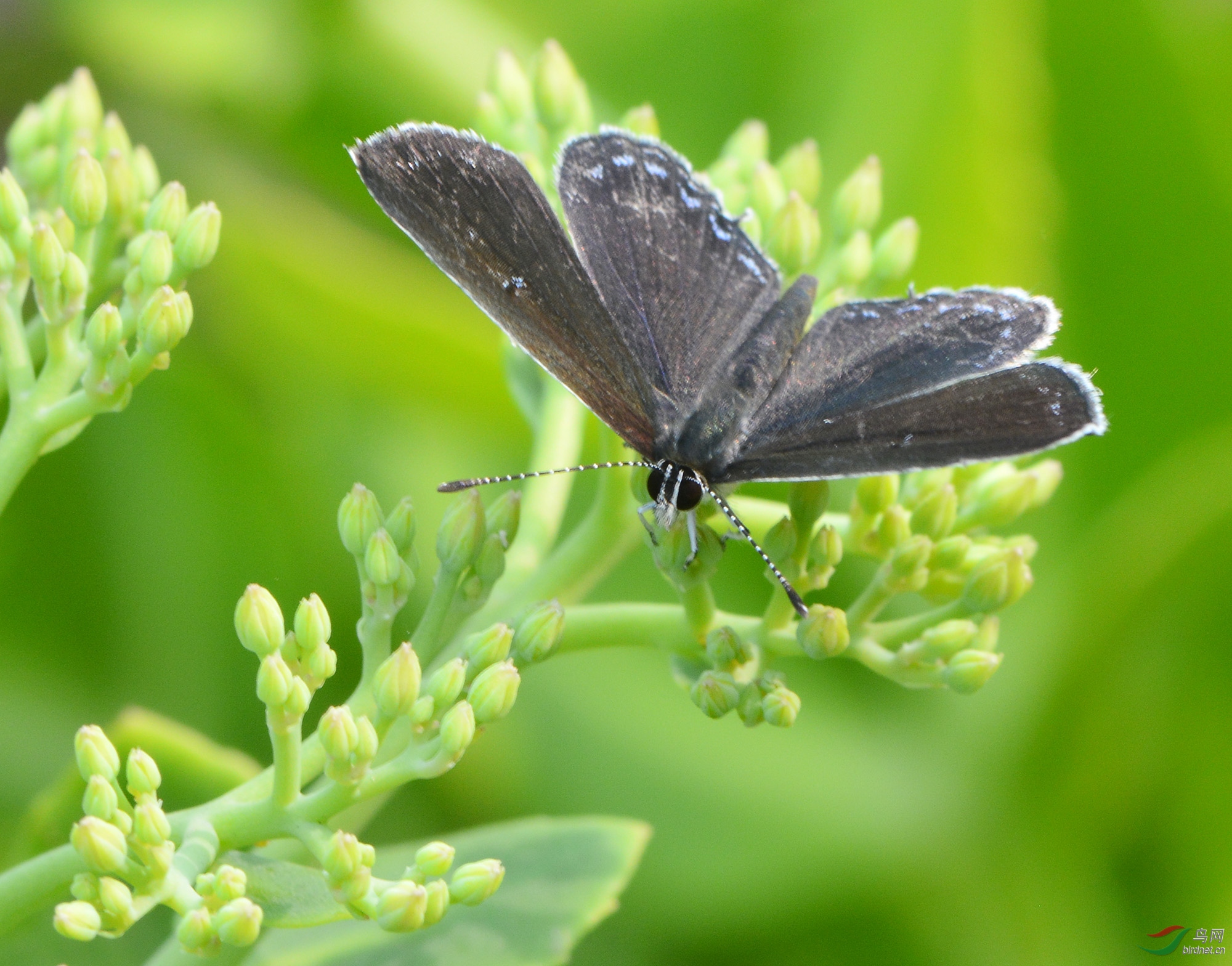 ������Ӱ 679����.jpg