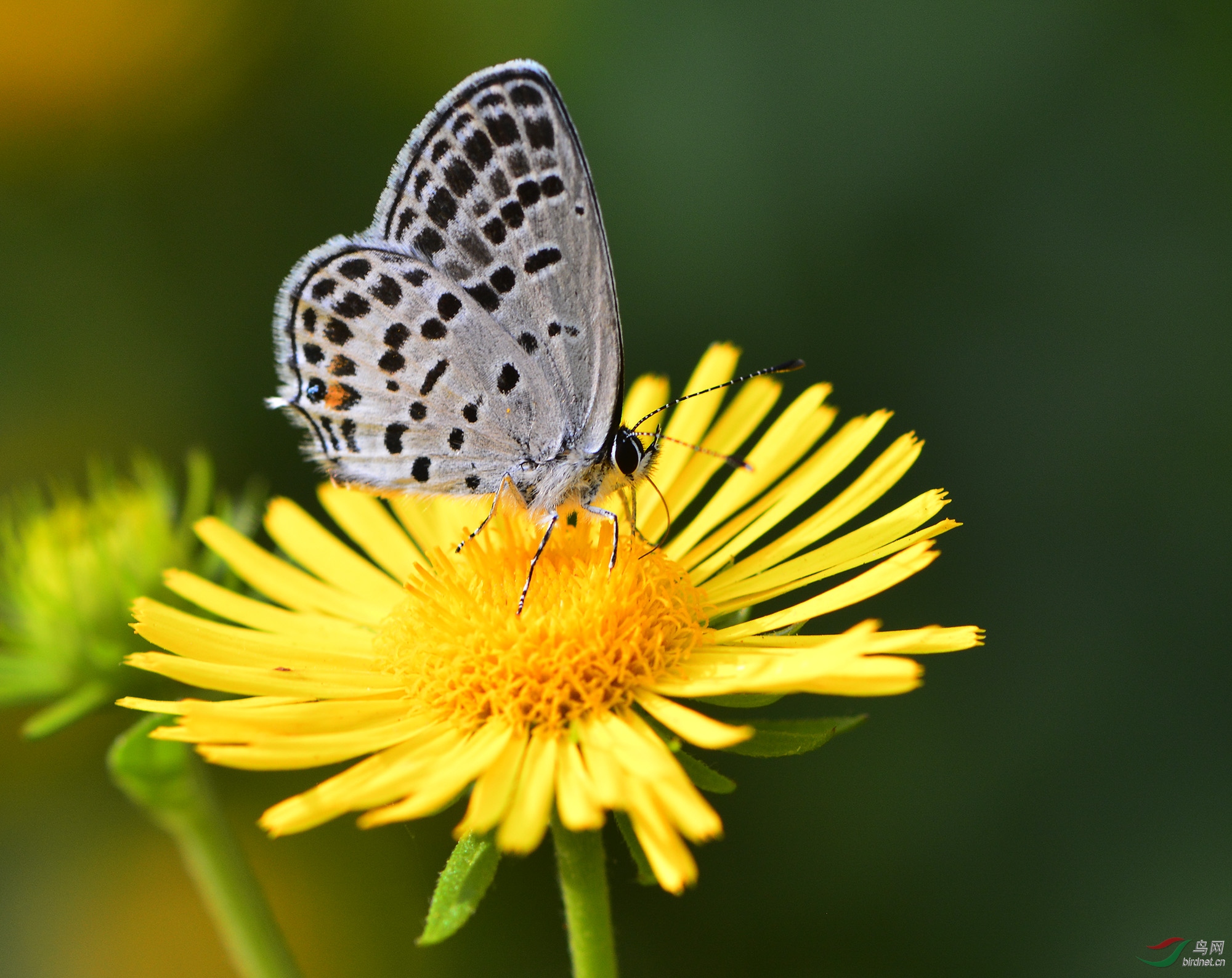 ������Ӱ 1613����.jpg