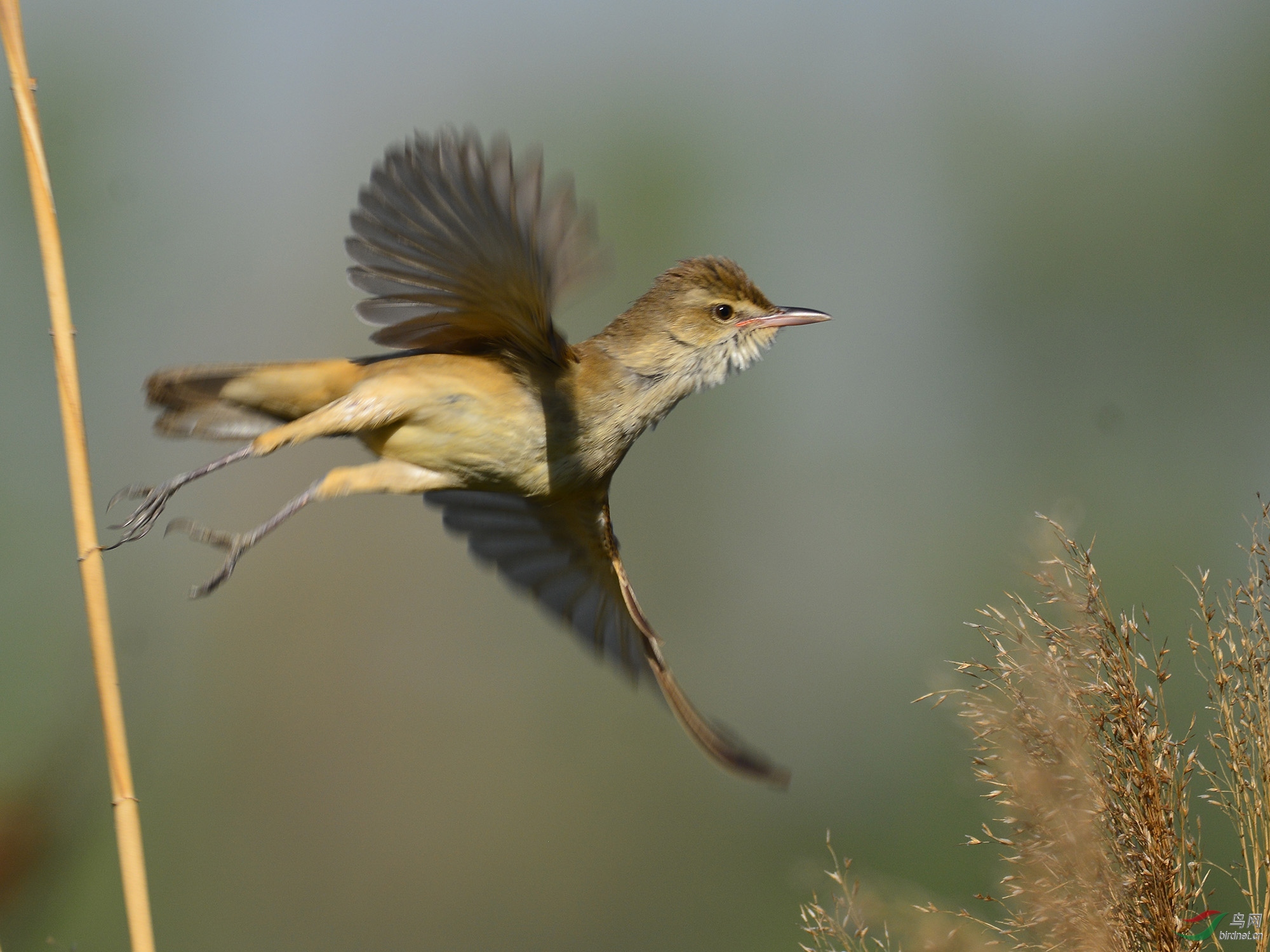 ������Ӱ 2565����.jpg