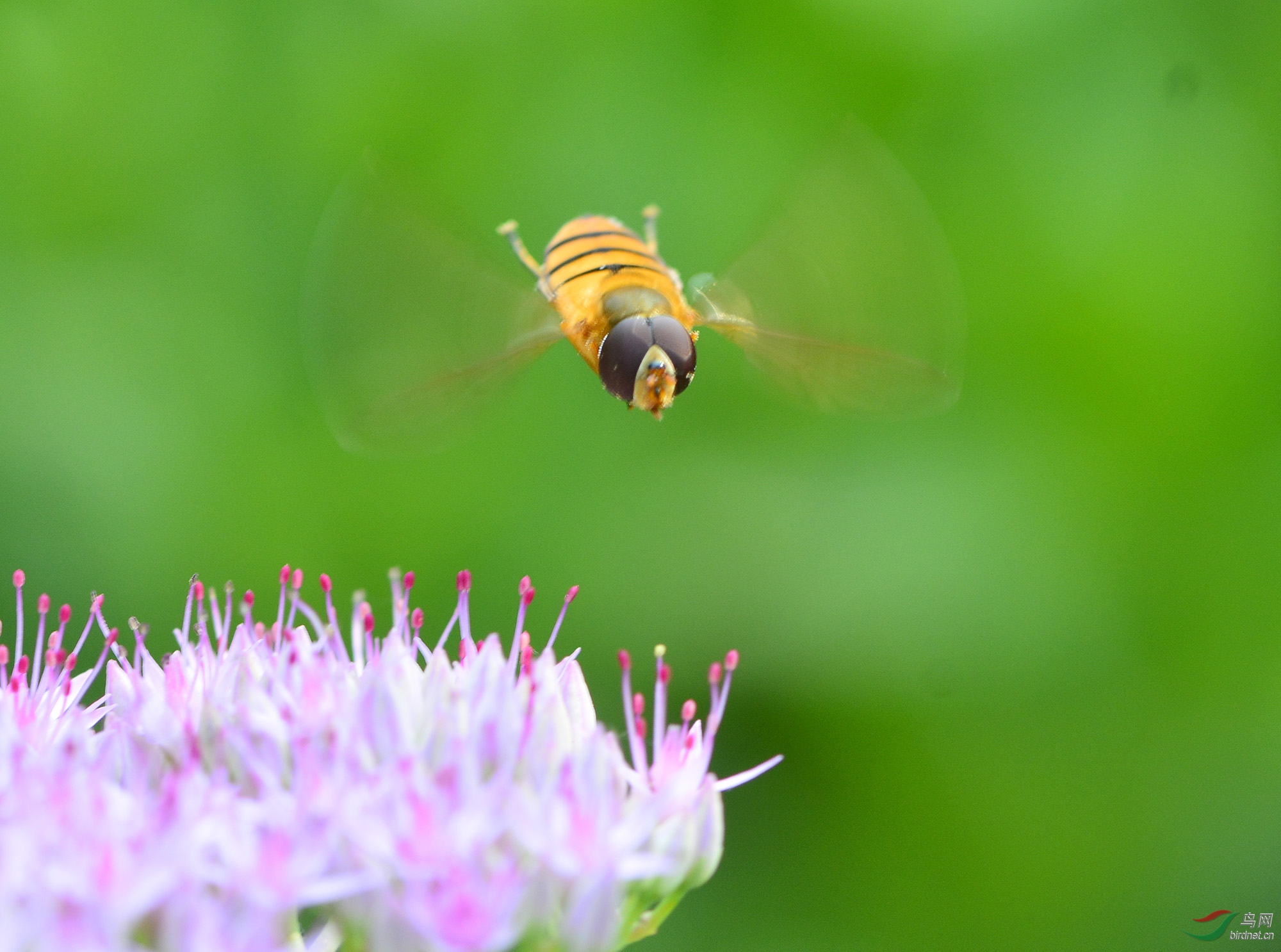 ������Ӱ 2834����.jpg