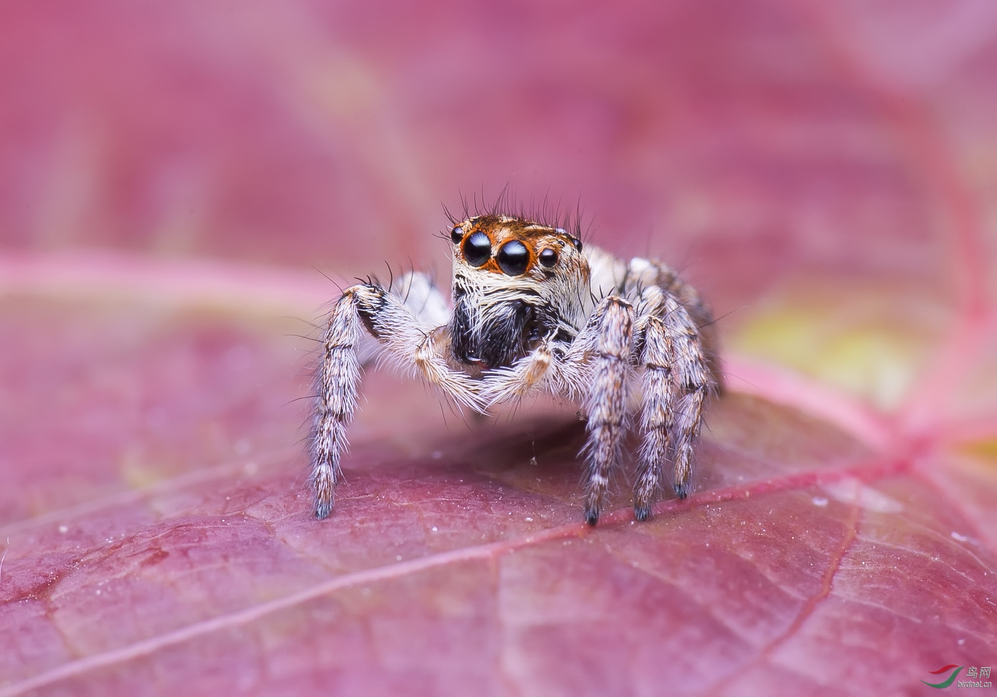 ���� ��.jpg