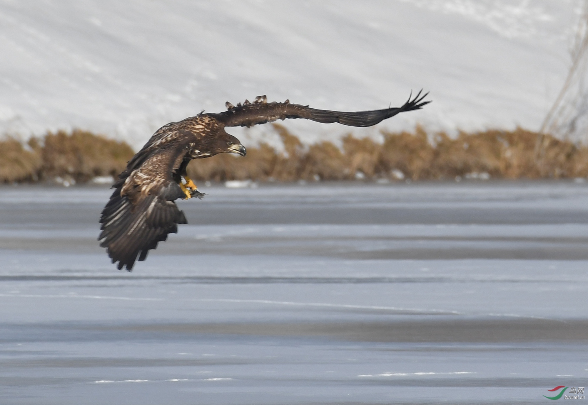 ������Ӱ 225����.jpg