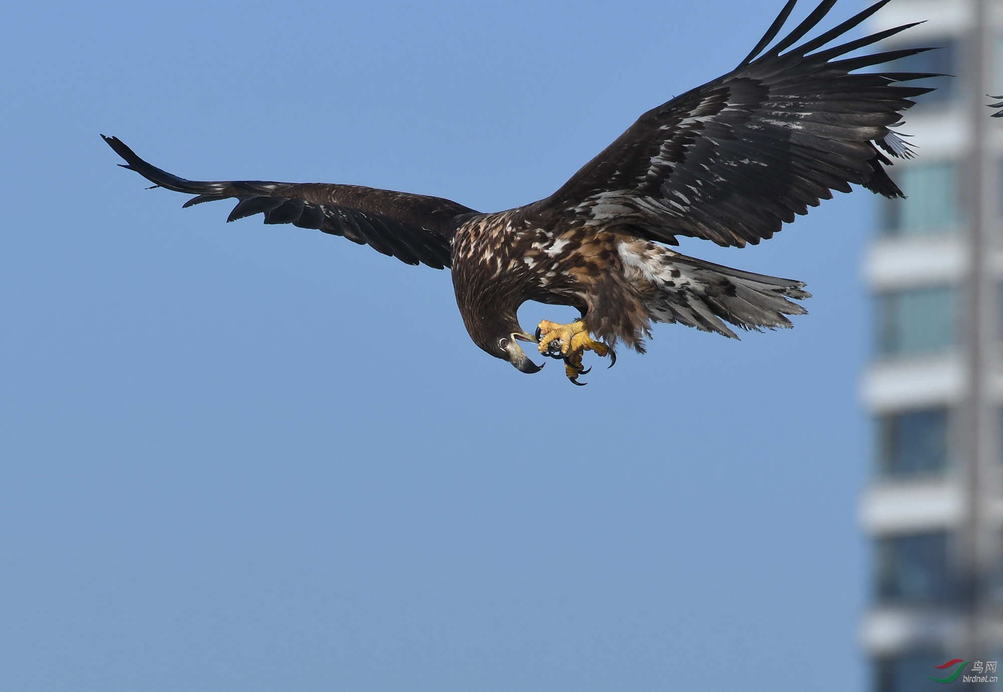 ������Ӱ 353����.jpg