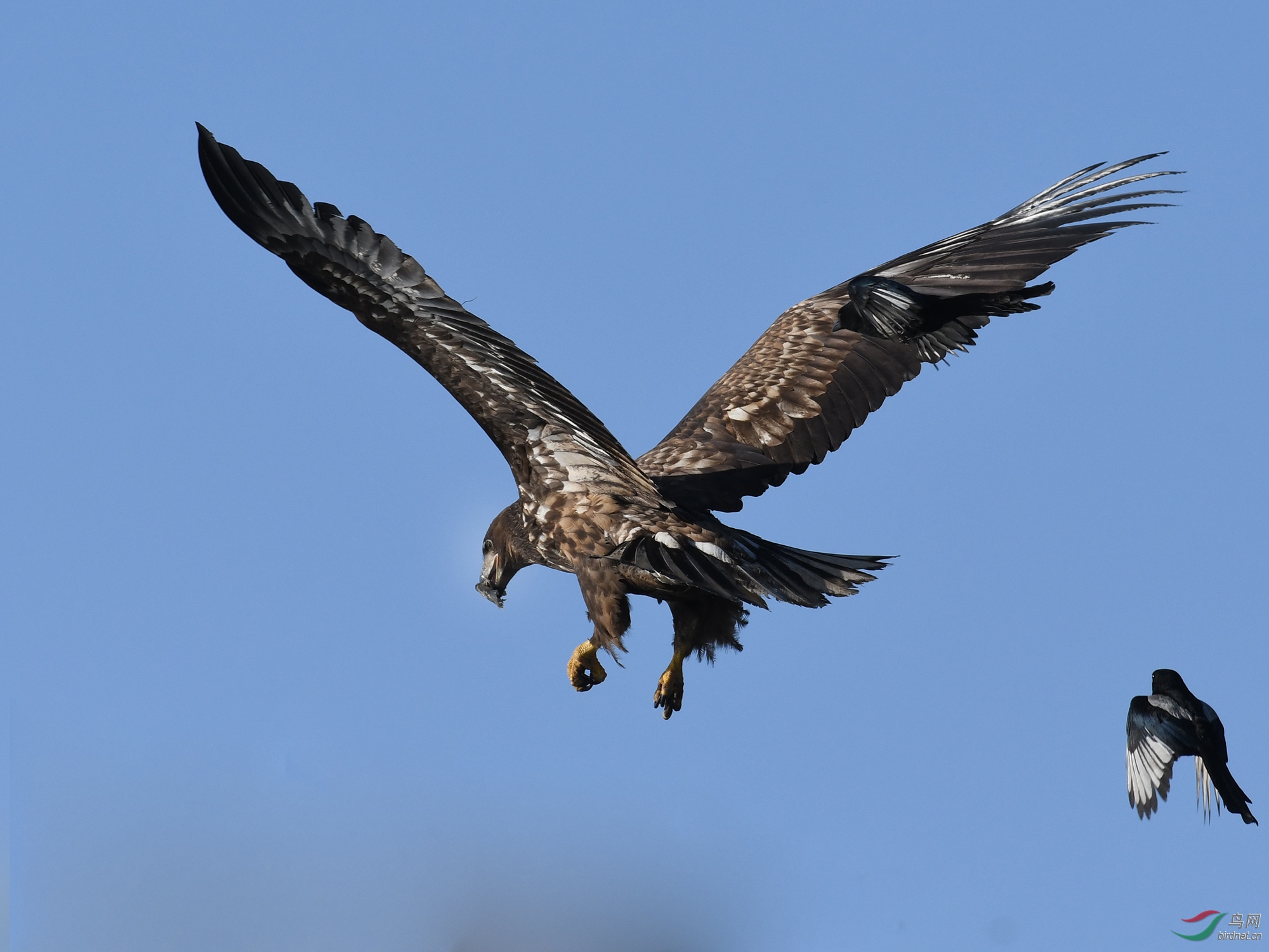 ������Ӱ 381����.jpg