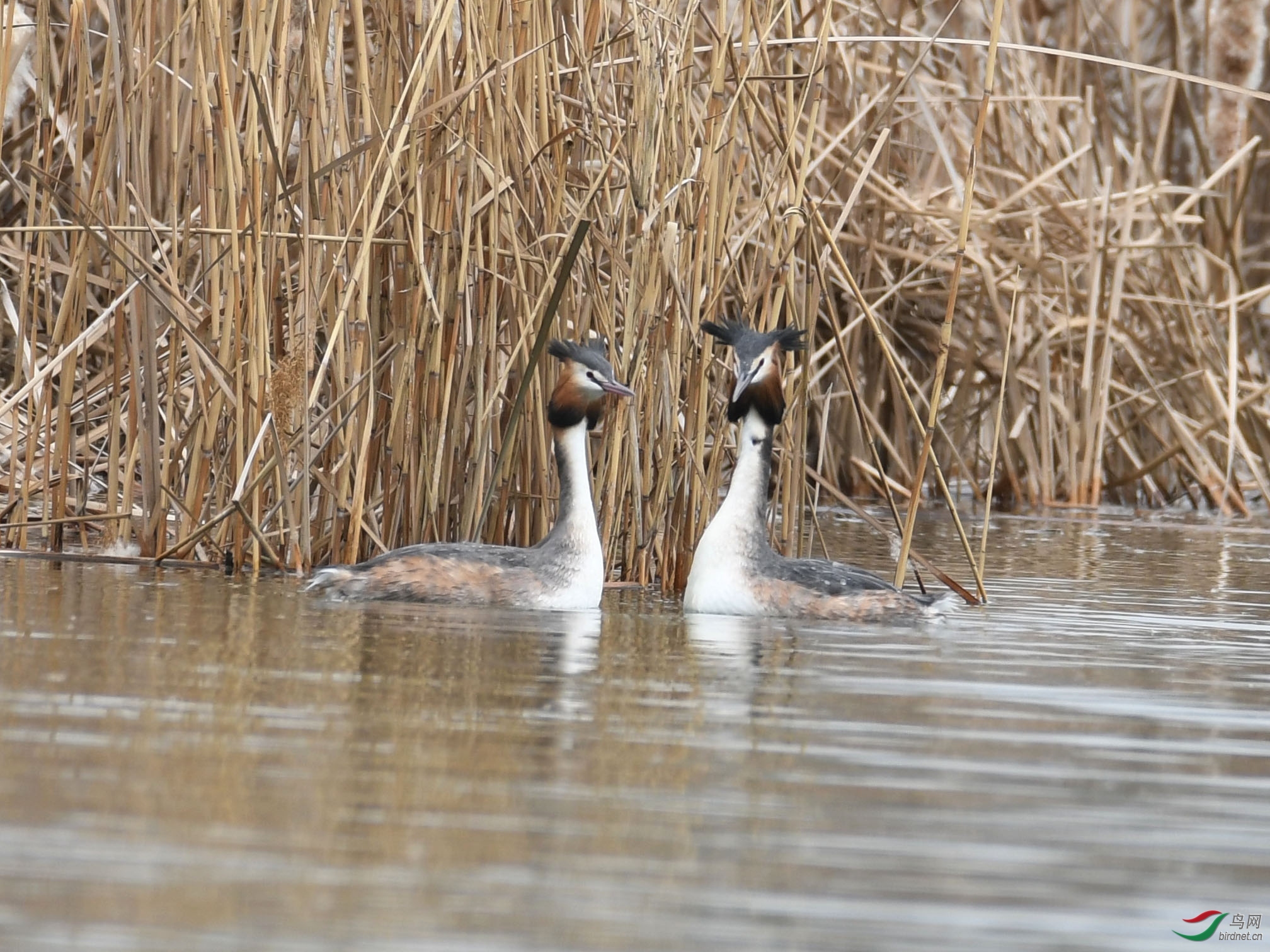 ������Ӱ 029����.jpg