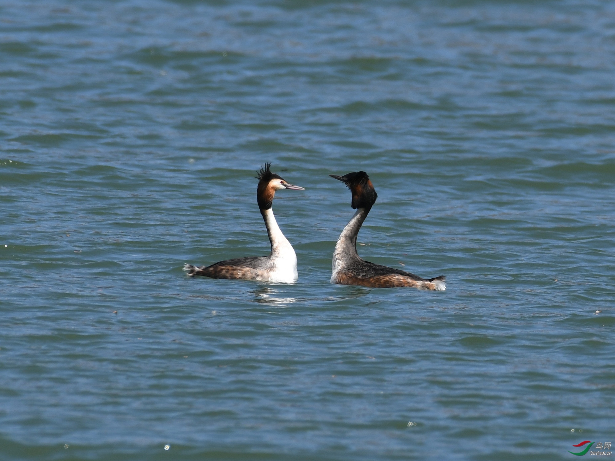 ������Ӱ 040����.jpg