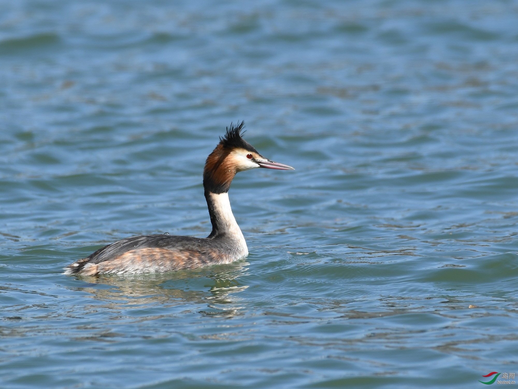 ������Ӱ 070����.jpg