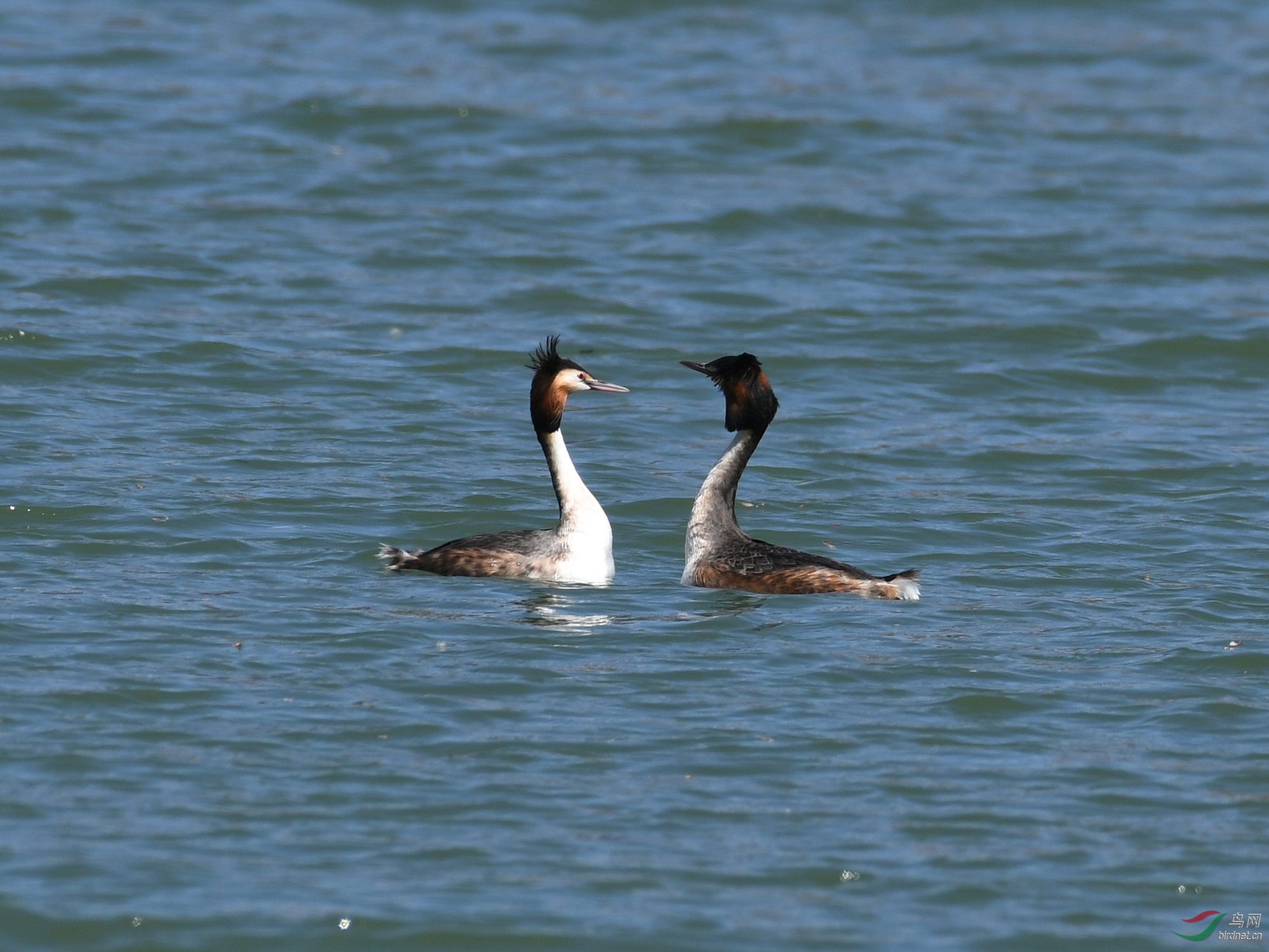 ������Ӱ 040����.jpg