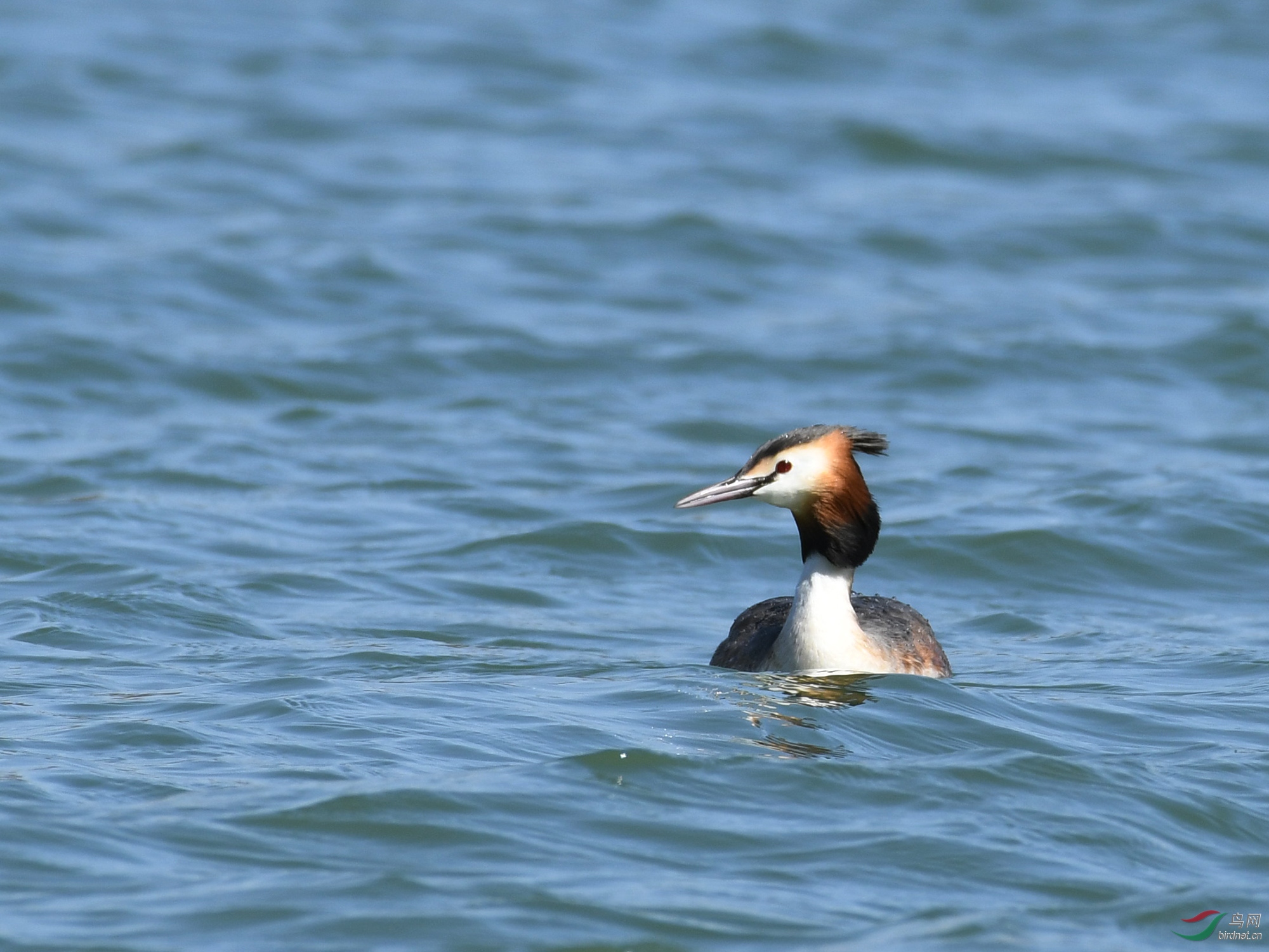 ������Ӱ 154����.jpg