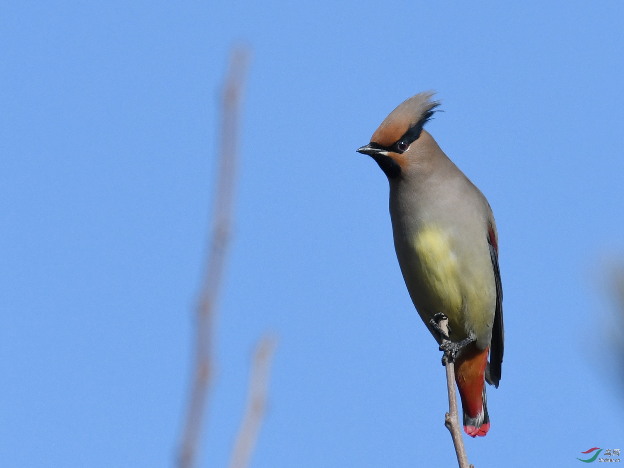 ������Ӱ 305����.jpg