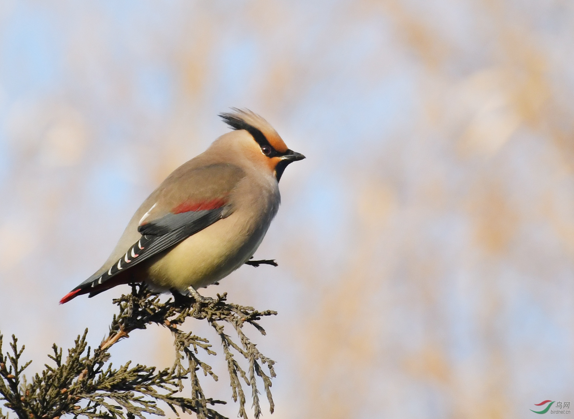 ������Ӱ 838����.jpg