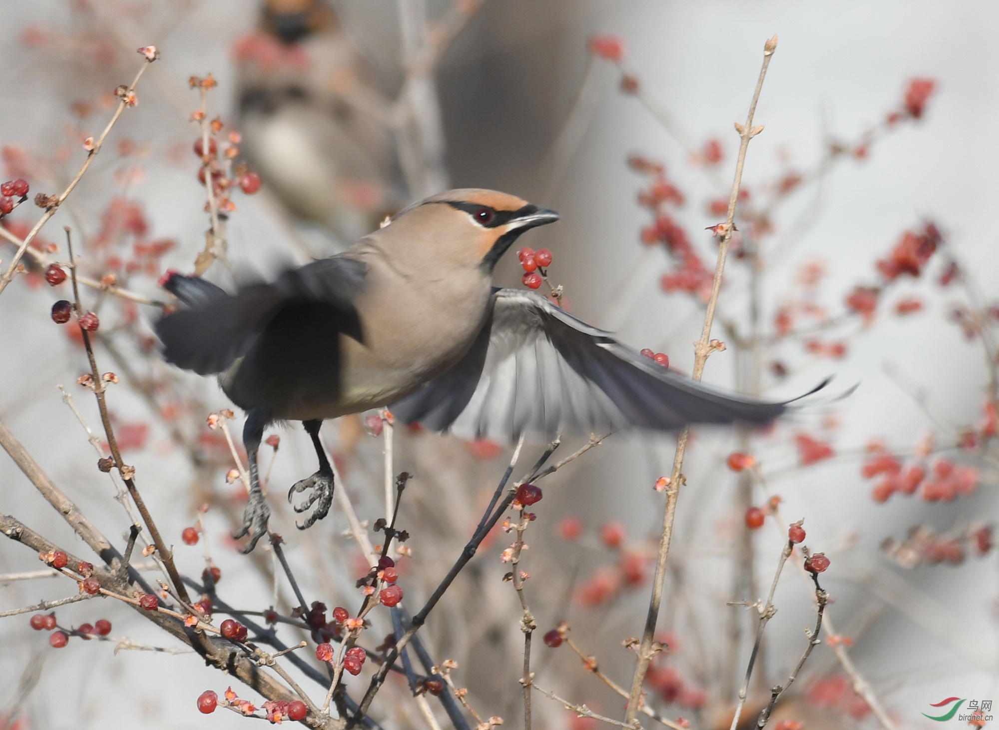 ������Ӱ 1103����.jpg