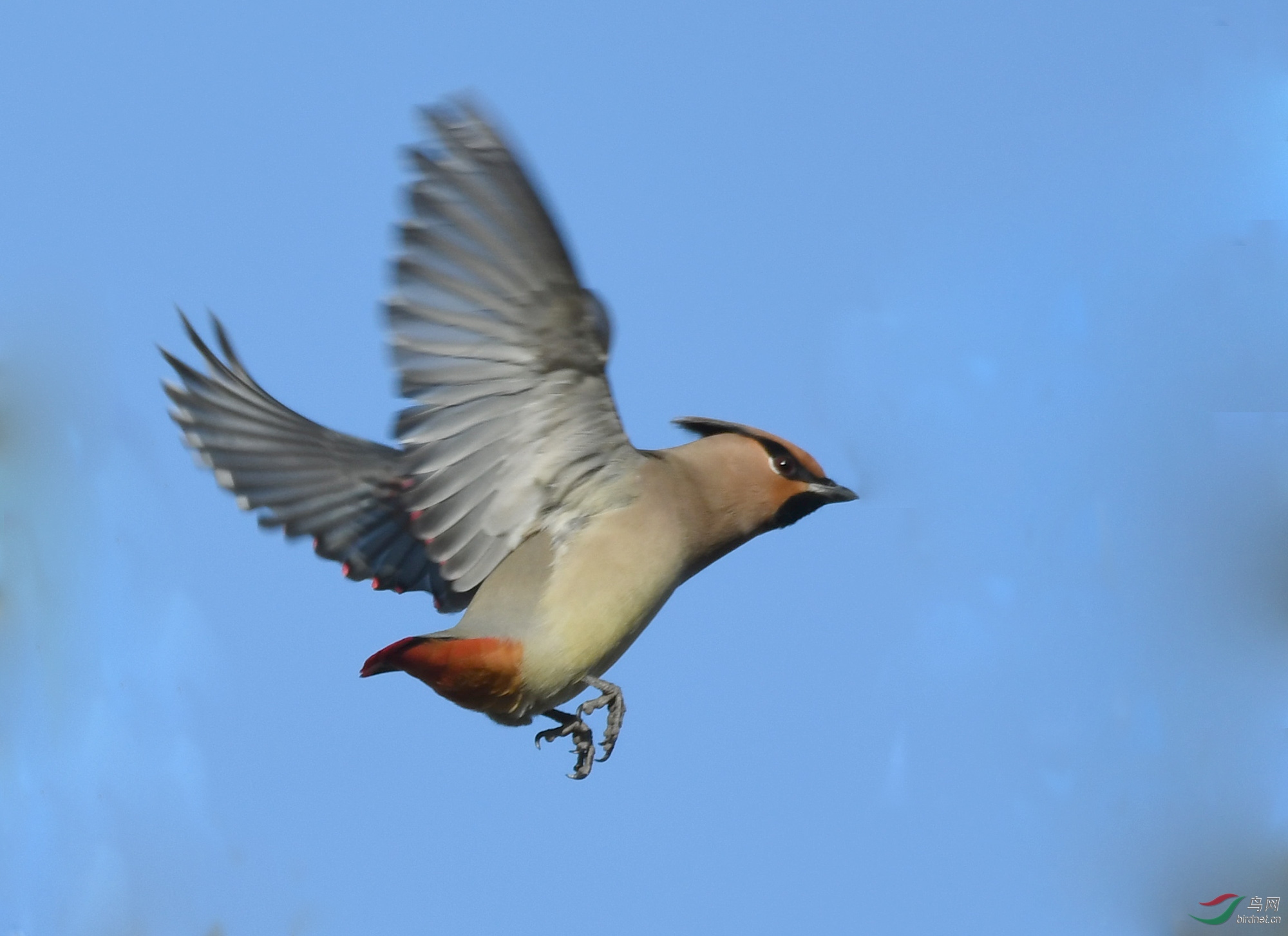 ������Ӱ 1400����.jpg