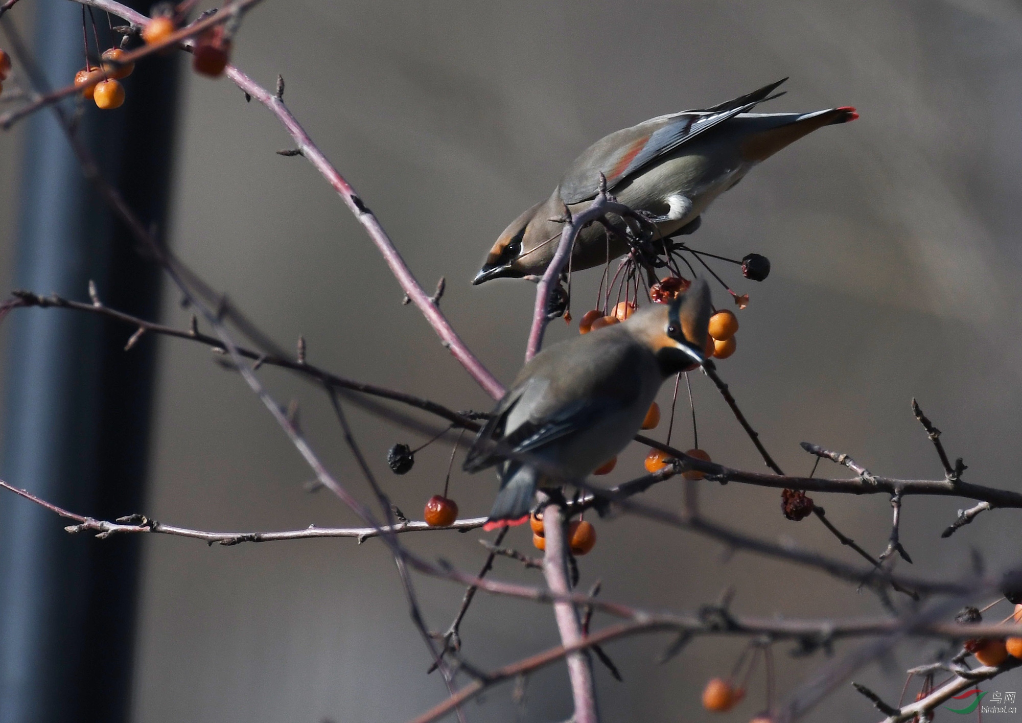 ������Ӱ 420����.jpg