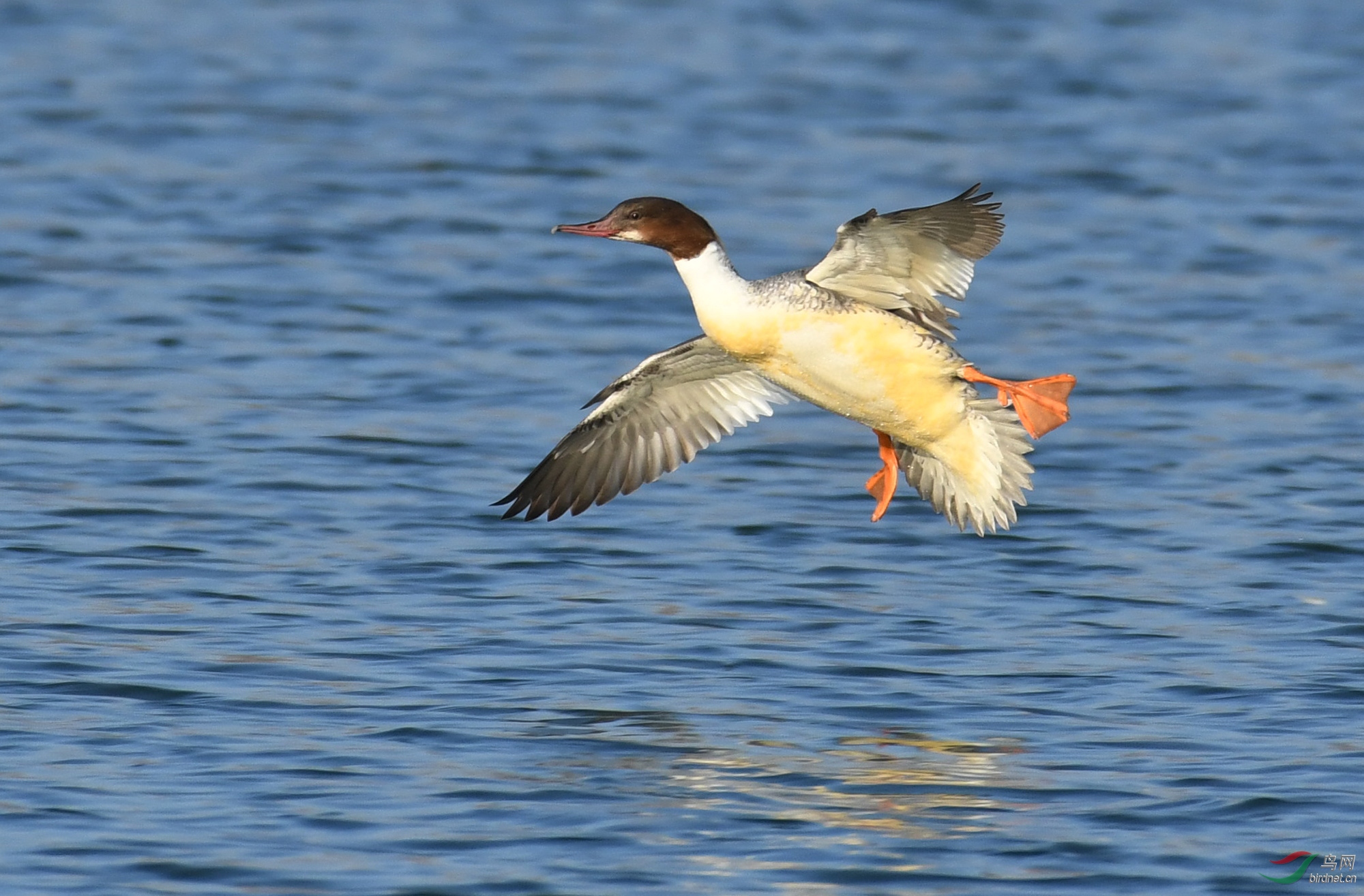 ������Ӱ 631����.jpg